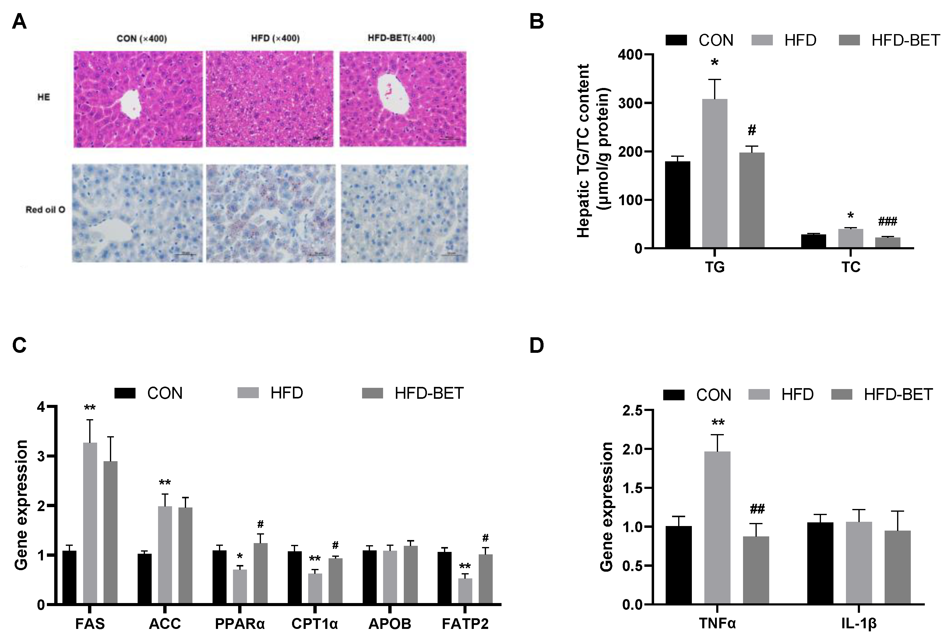 Nutrients 15 00284 g002 Nutrients 15 00284 g002