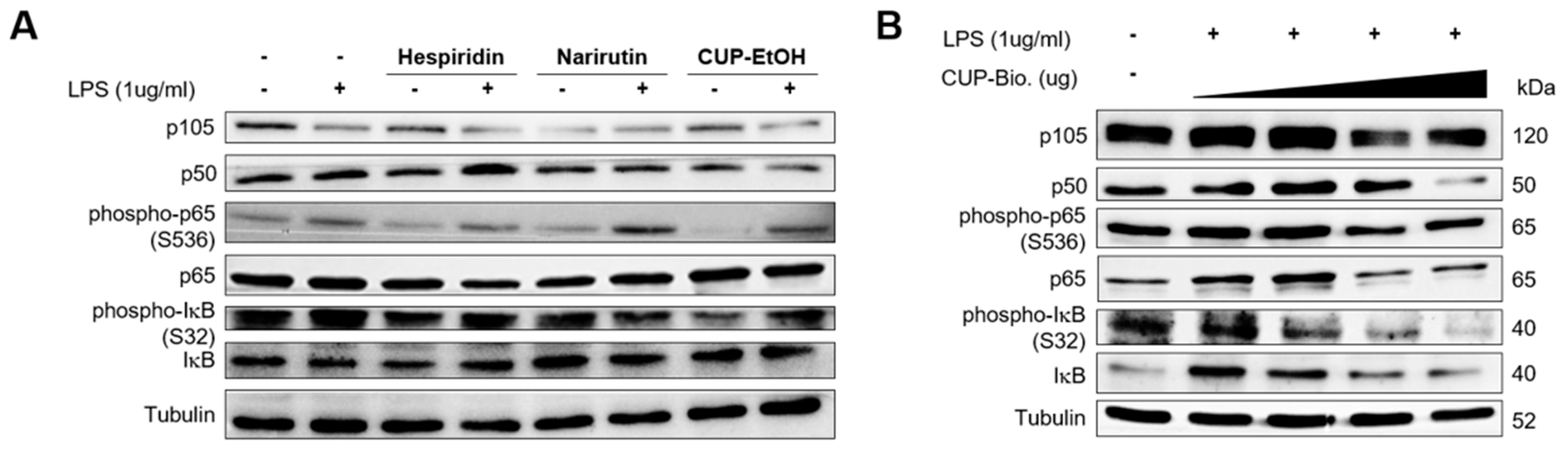 Nutrients 15 00319 g002 Nutrients 15 00319 g002