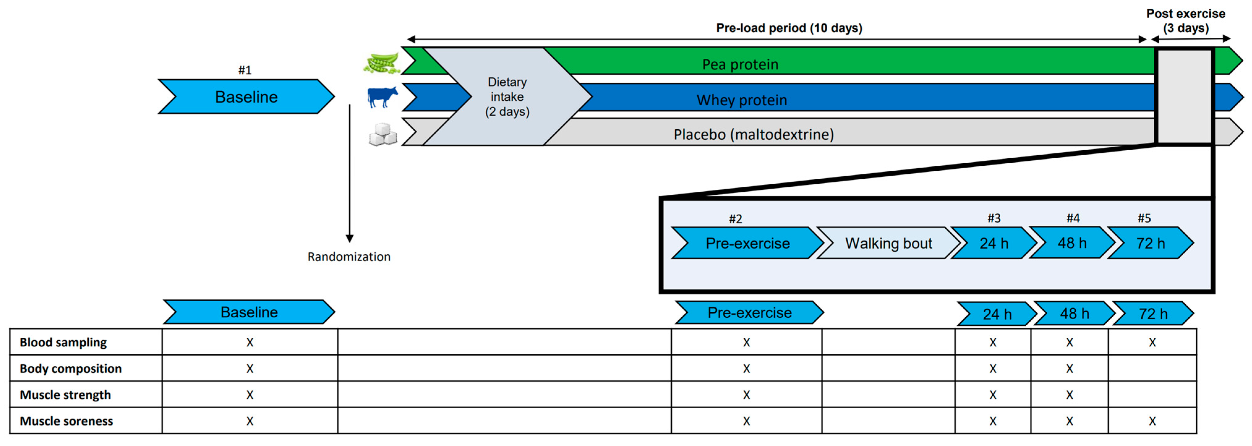 Nutrients 15 00342 g001