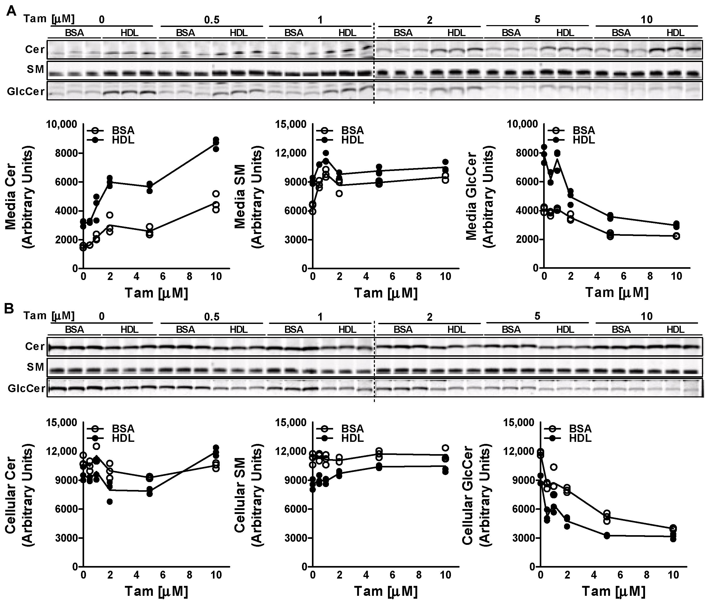 Nutrients 15 00346 g002