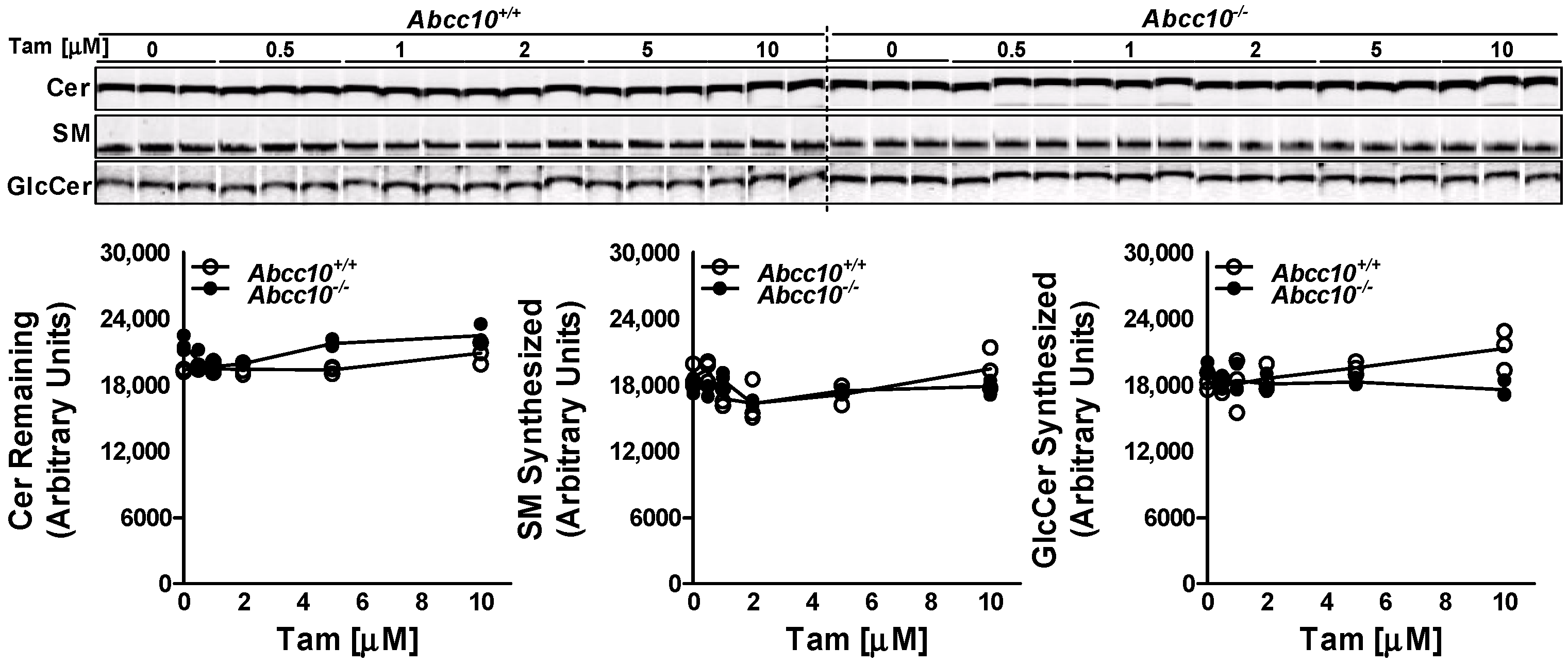Nutrients 15 00346 g003