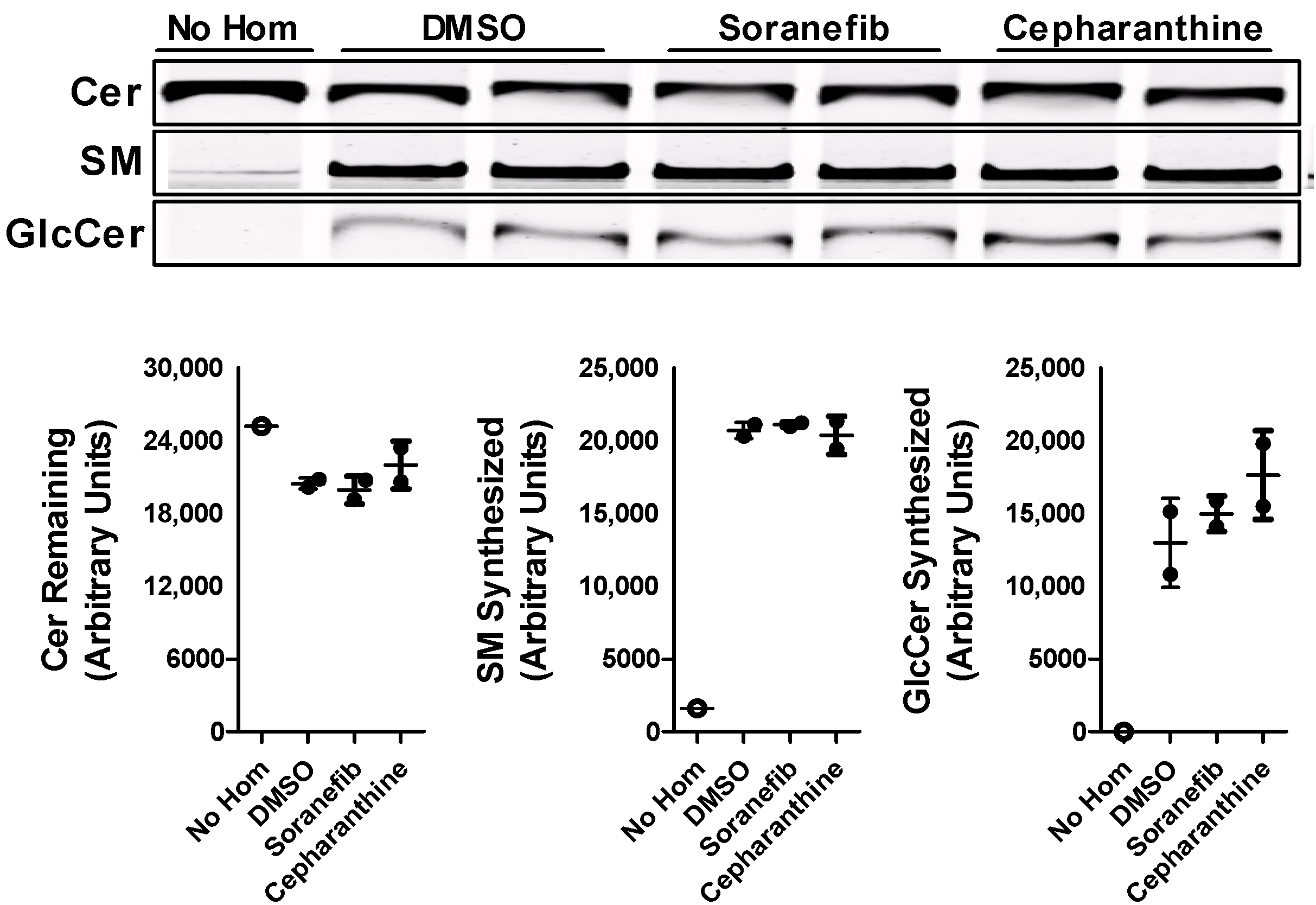 Nutrients 15 00346 g006