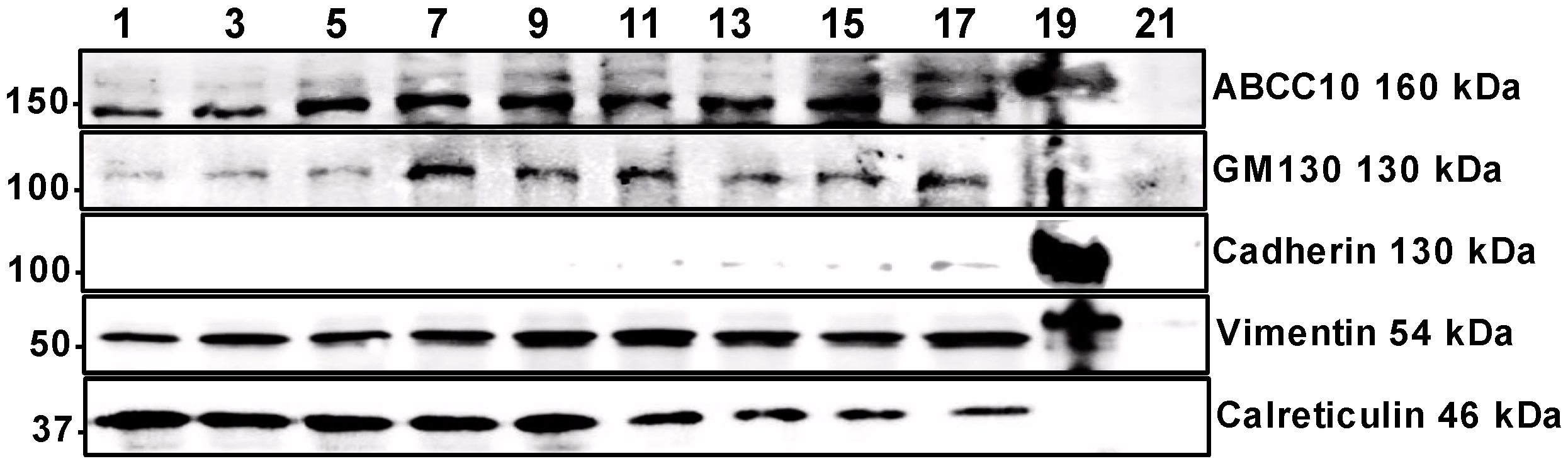 Nutrients 15 00346 g007