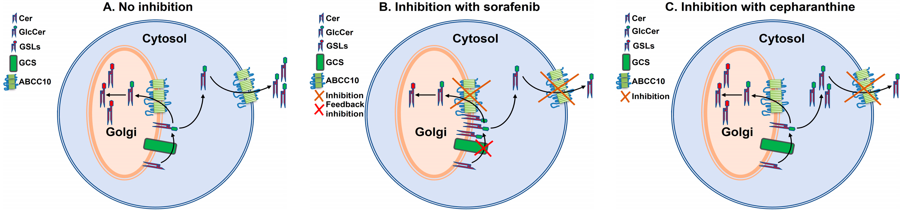 Nutrients 15 00346 g008