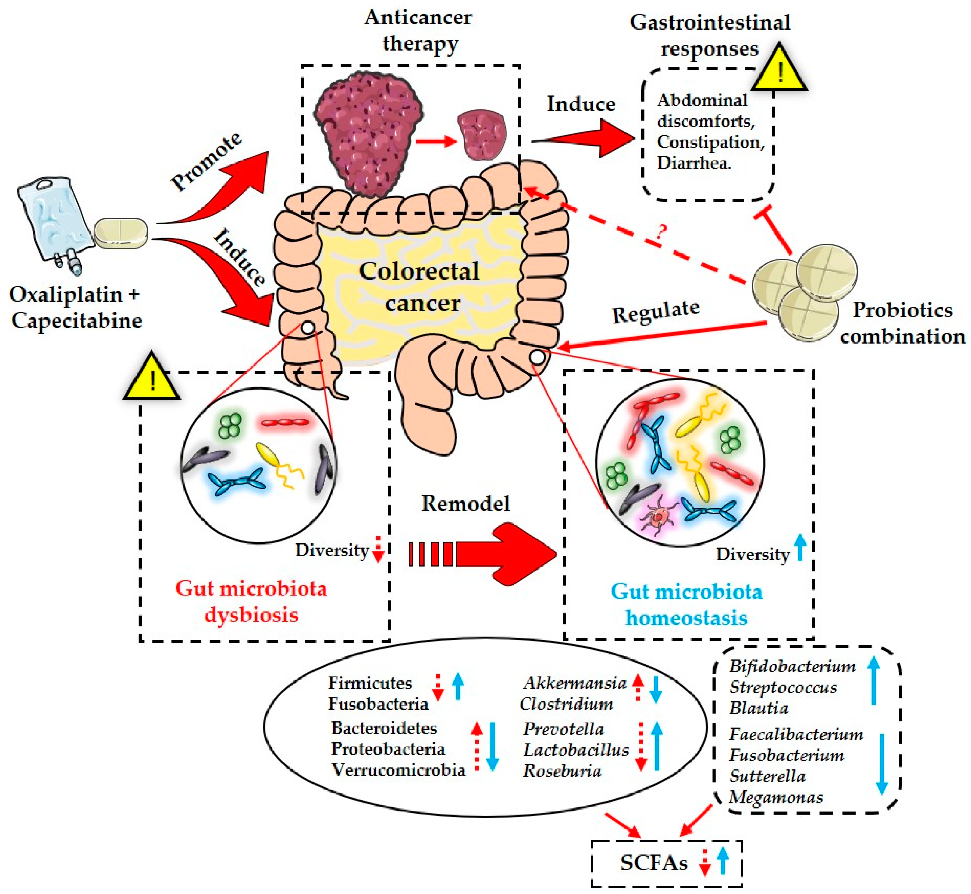 Nutrients 15 00356 g006