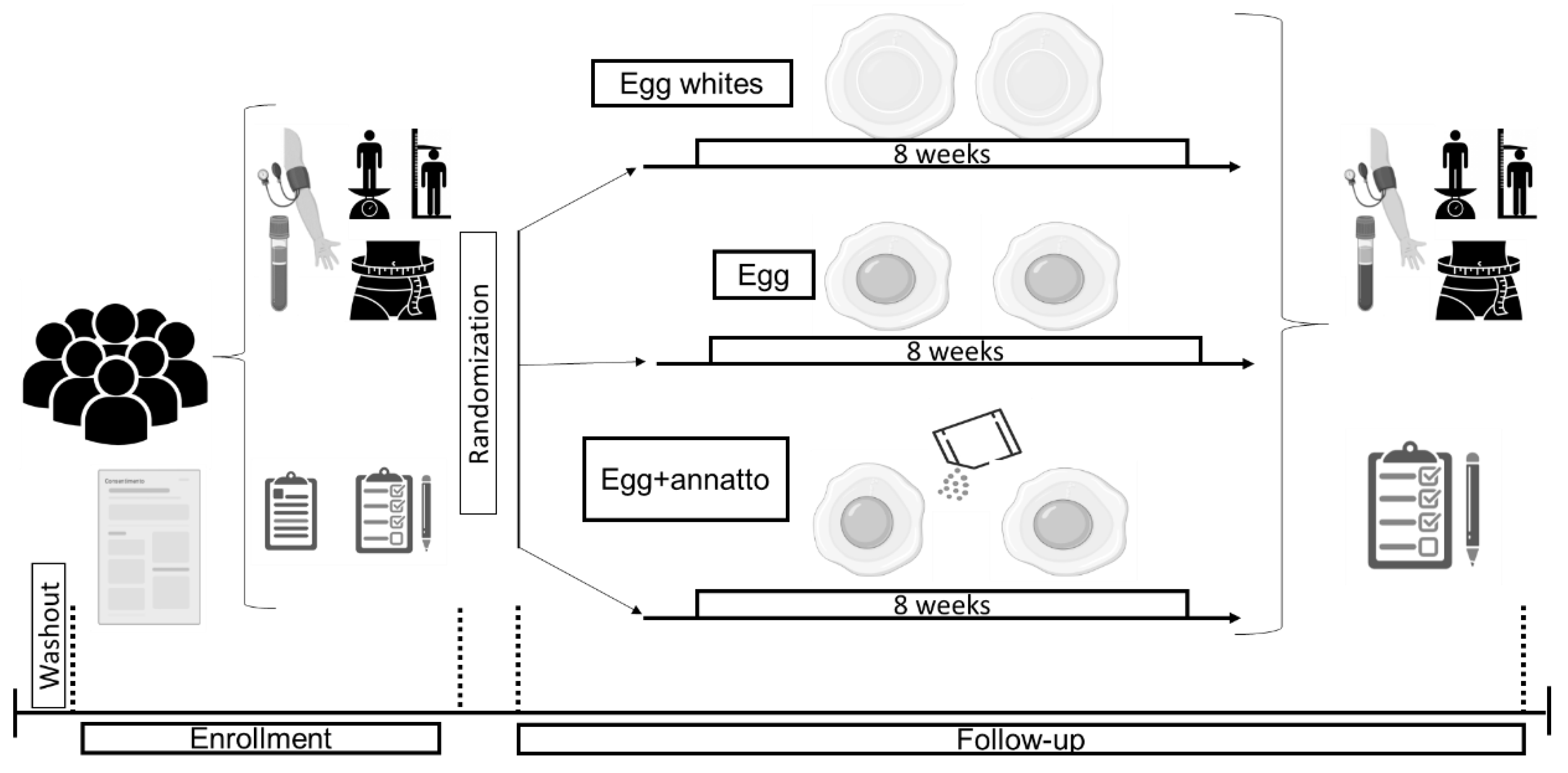Nutrients 15 00369 g001 Nutrients 15 00369 g001