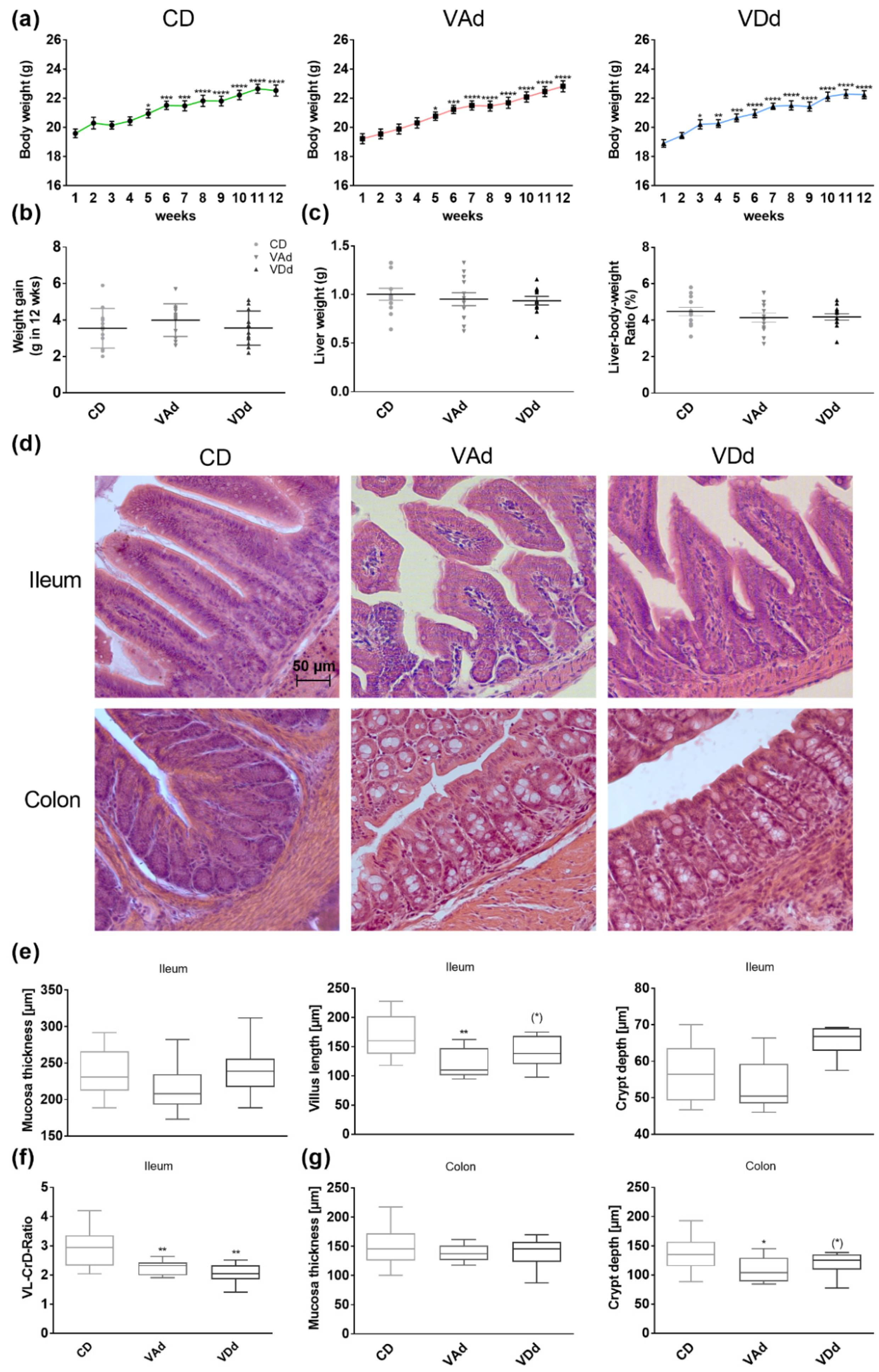 Nutrients 15 00376 g001