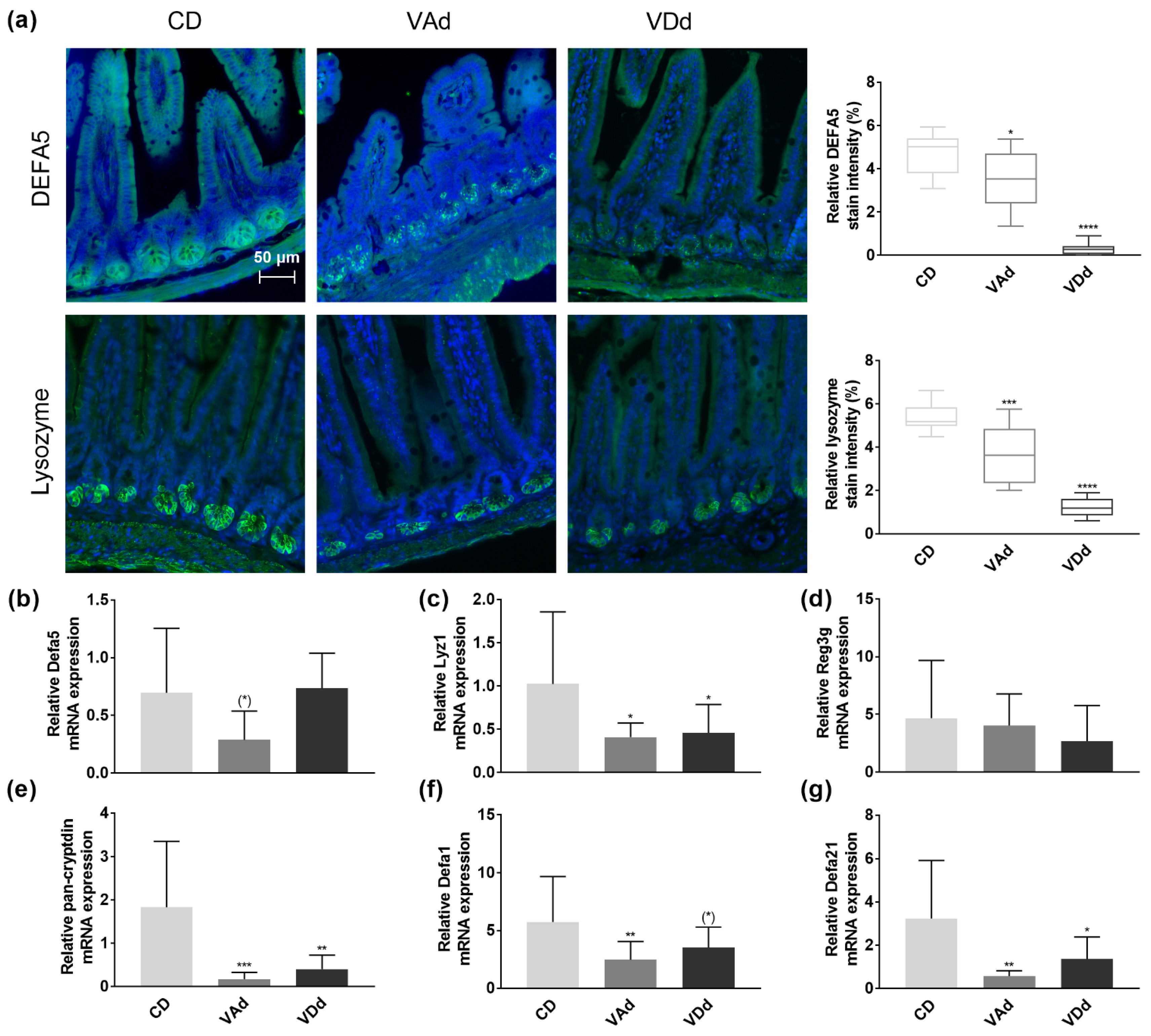 Nutrients 15 00376 g002