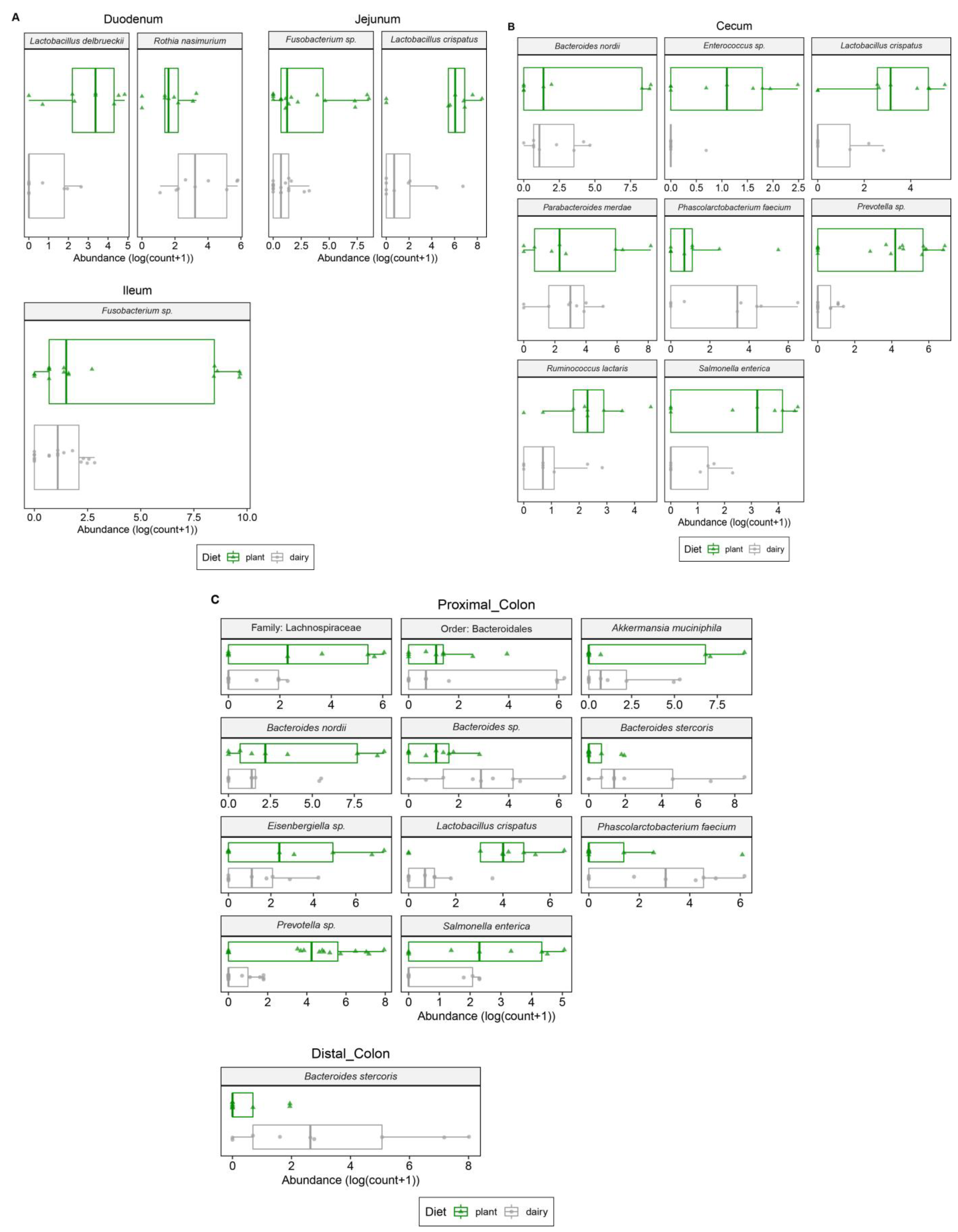Nutrients 15 00383 g004 Nutrients 15 00383 g004