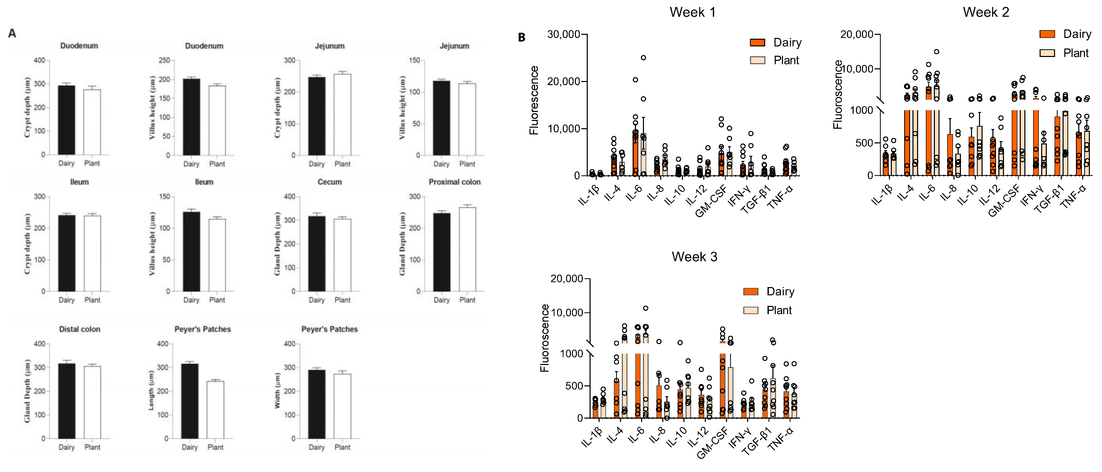 Nutrients 15 00383 g006 Nutrients 15 00383 g006