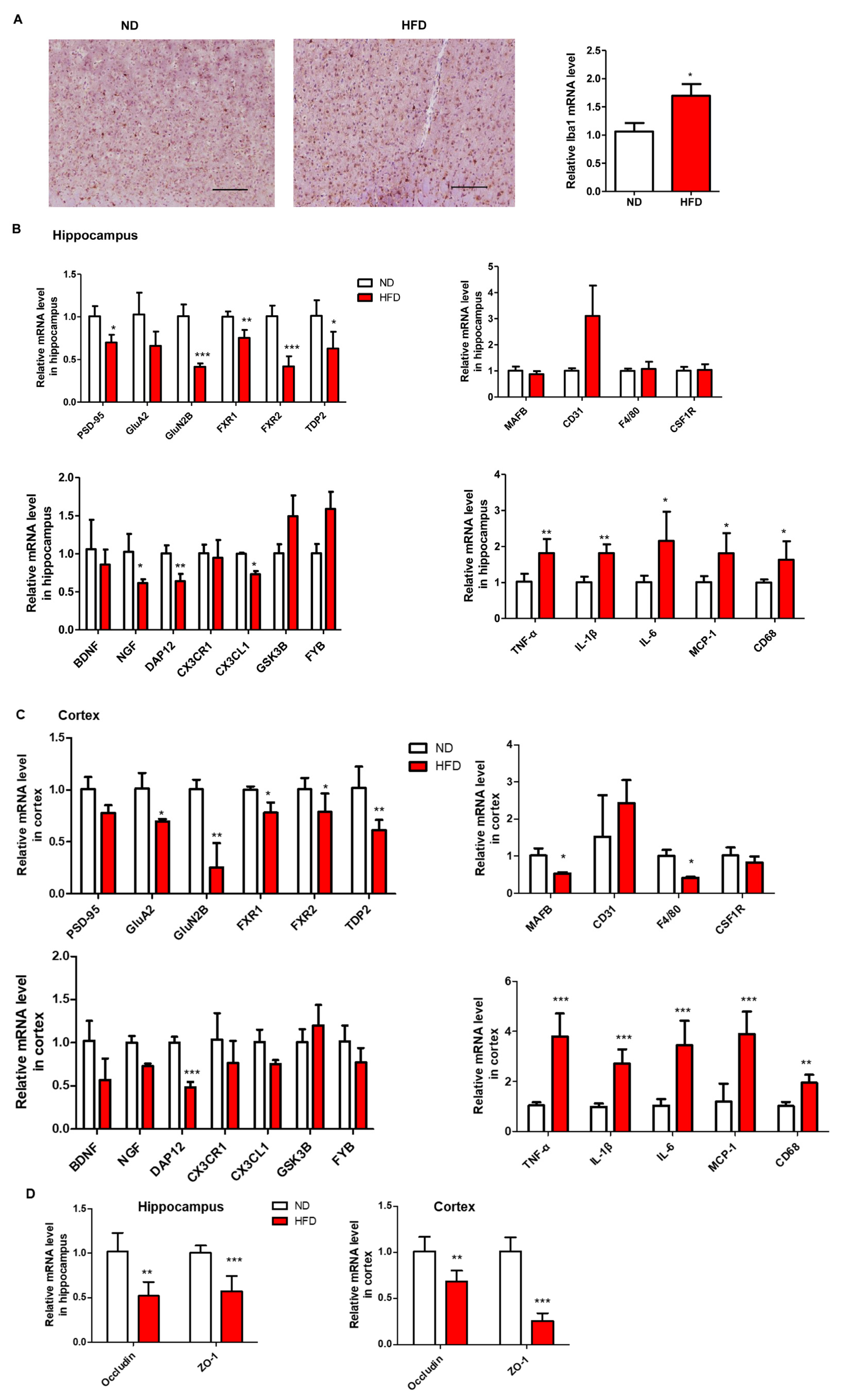 Nutrients 15 00392 g009