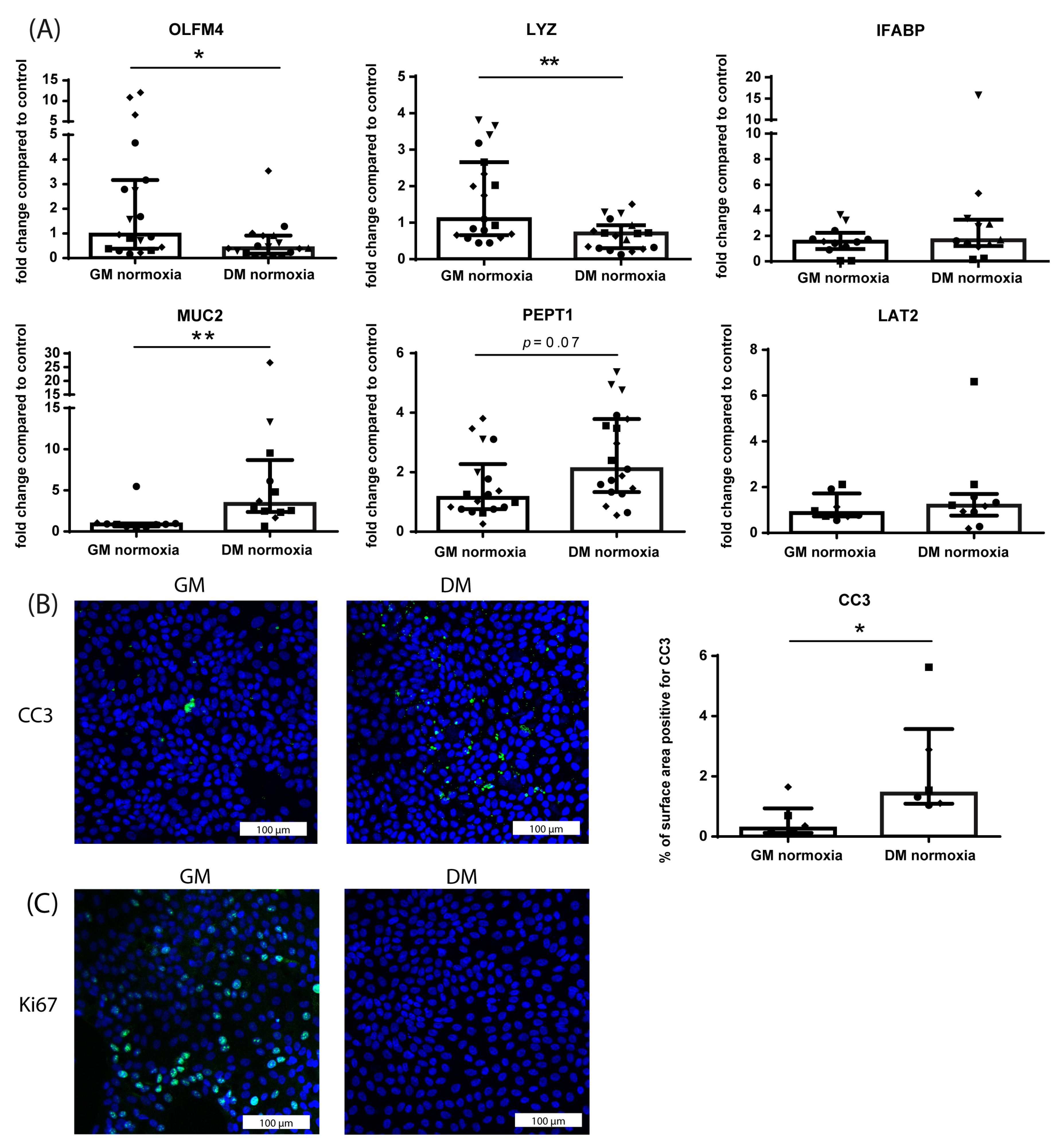 Nutrients 15 00393 g002
