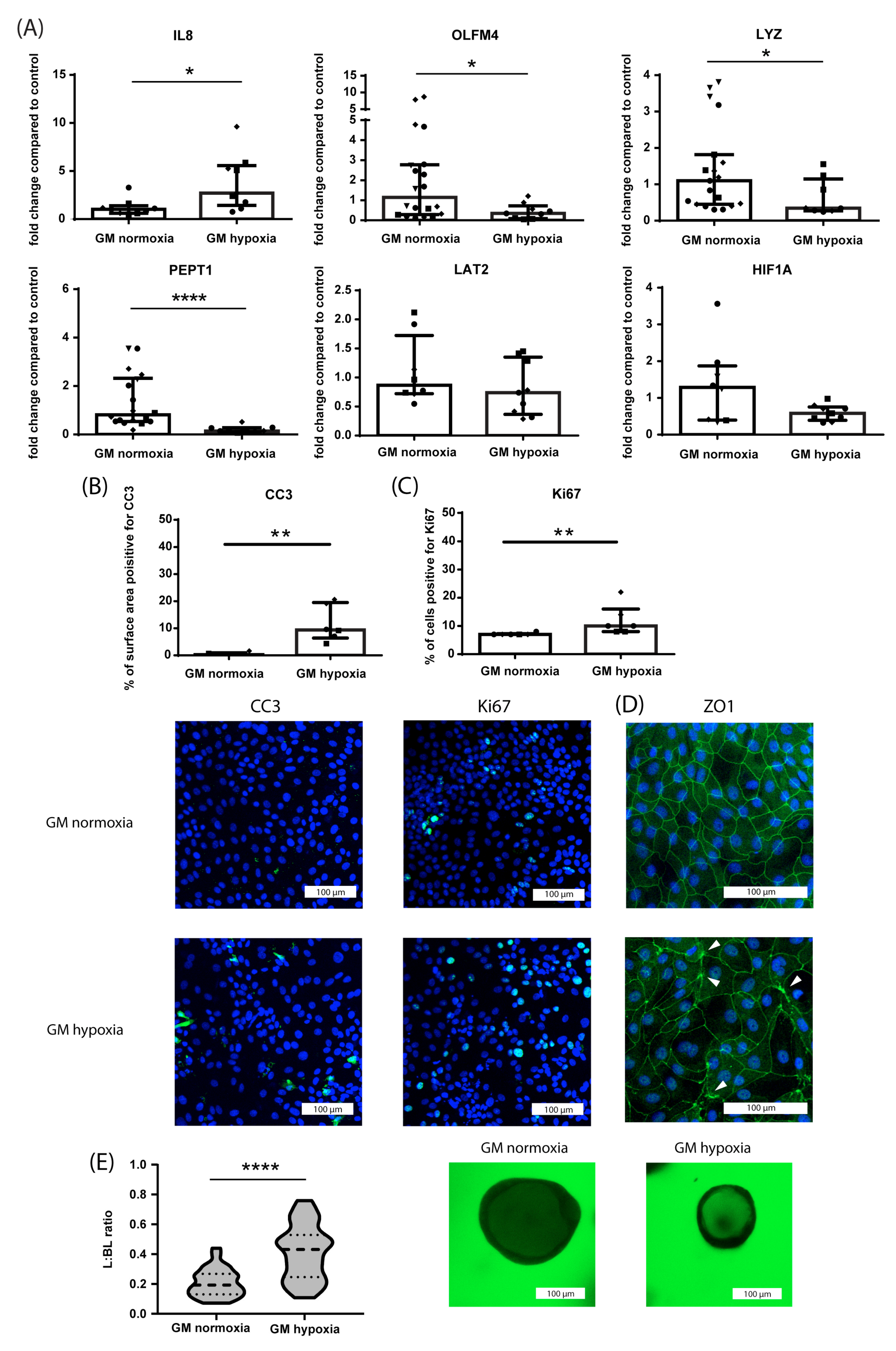 Nutrients 15 00393 g003