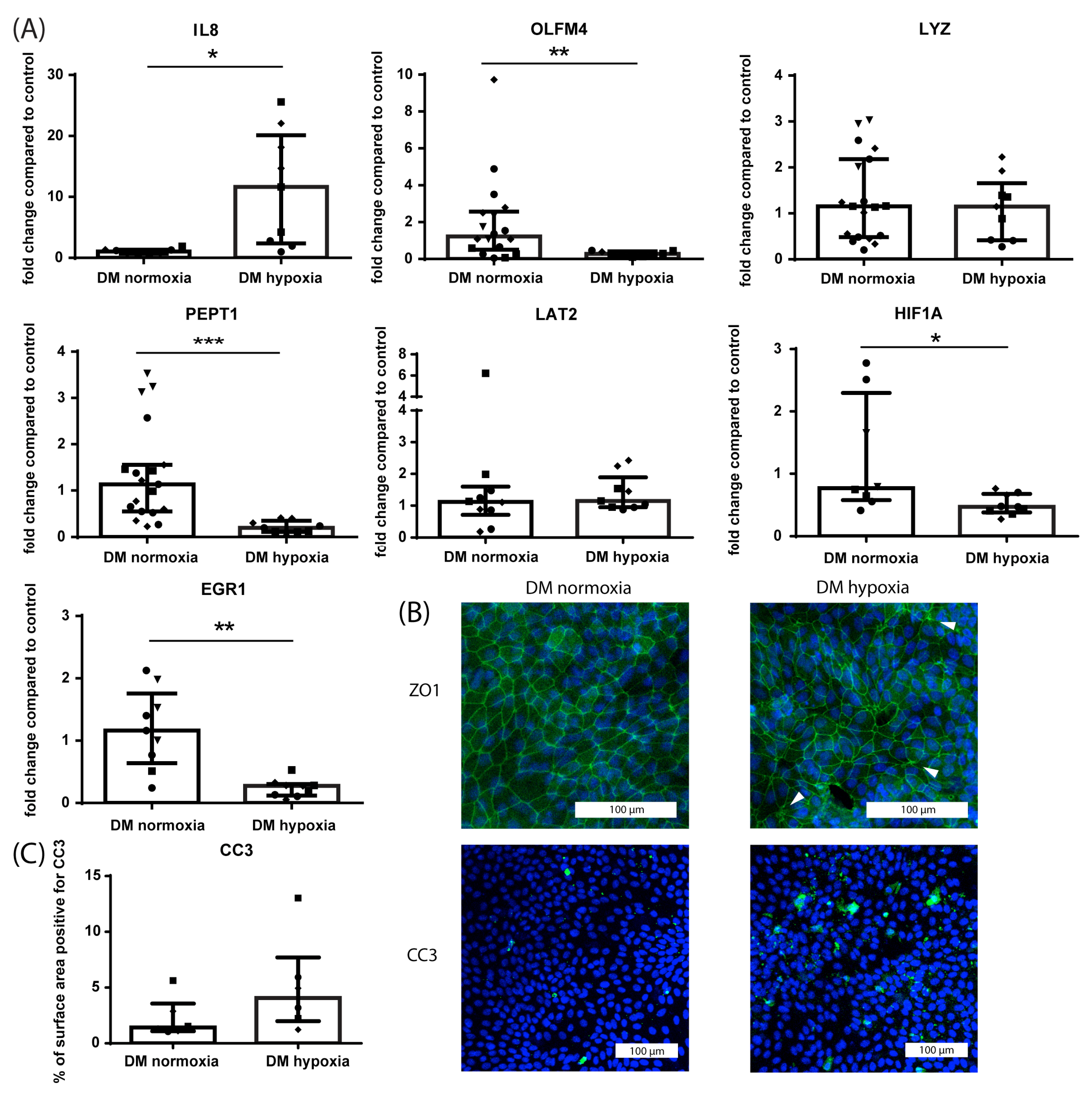 Nutrients 15 00393 g004
