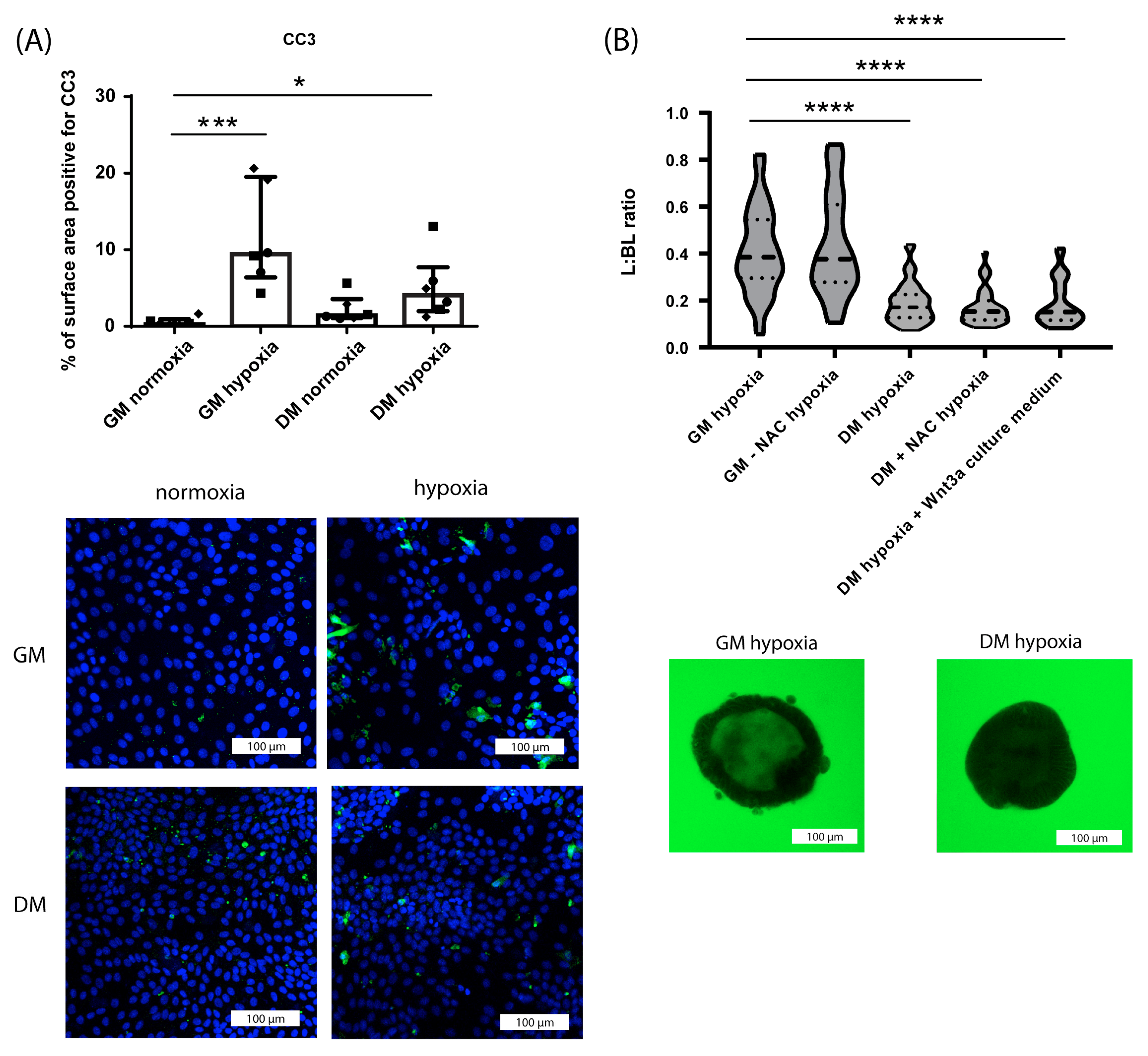 Nutrients 15 00393 g005