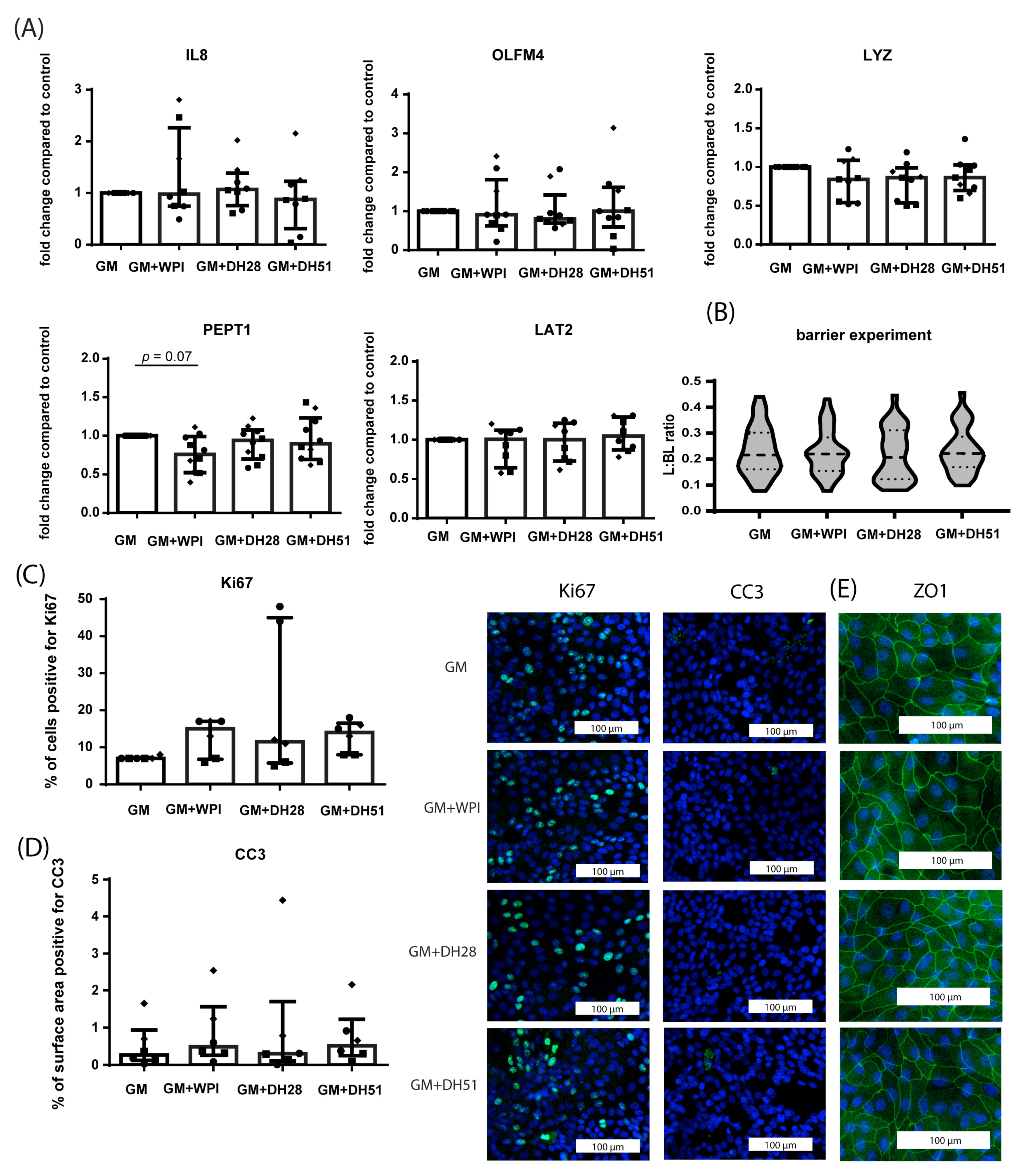Nutrients 15 00393 g006