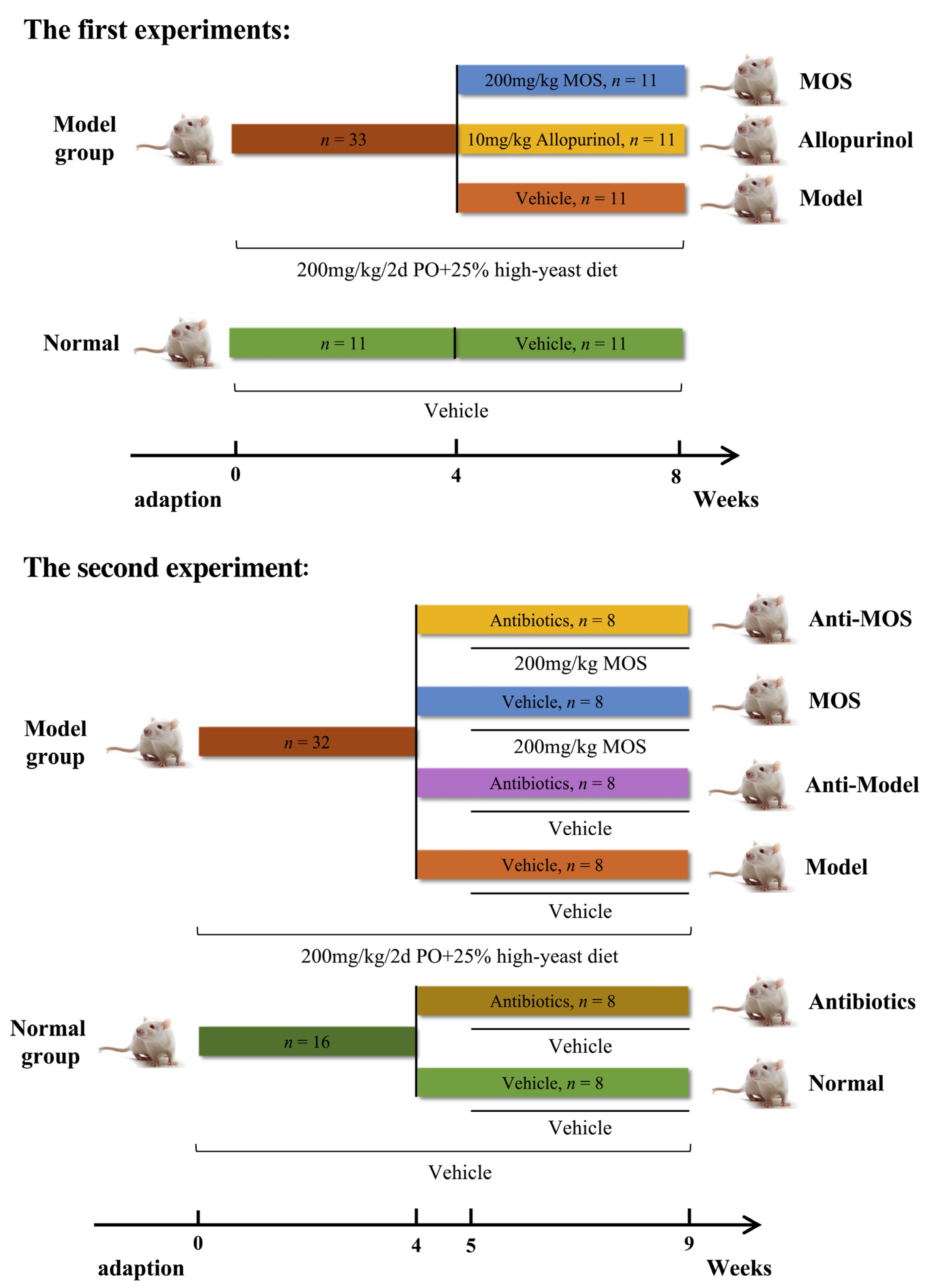 Nutrients 15 00417 g001