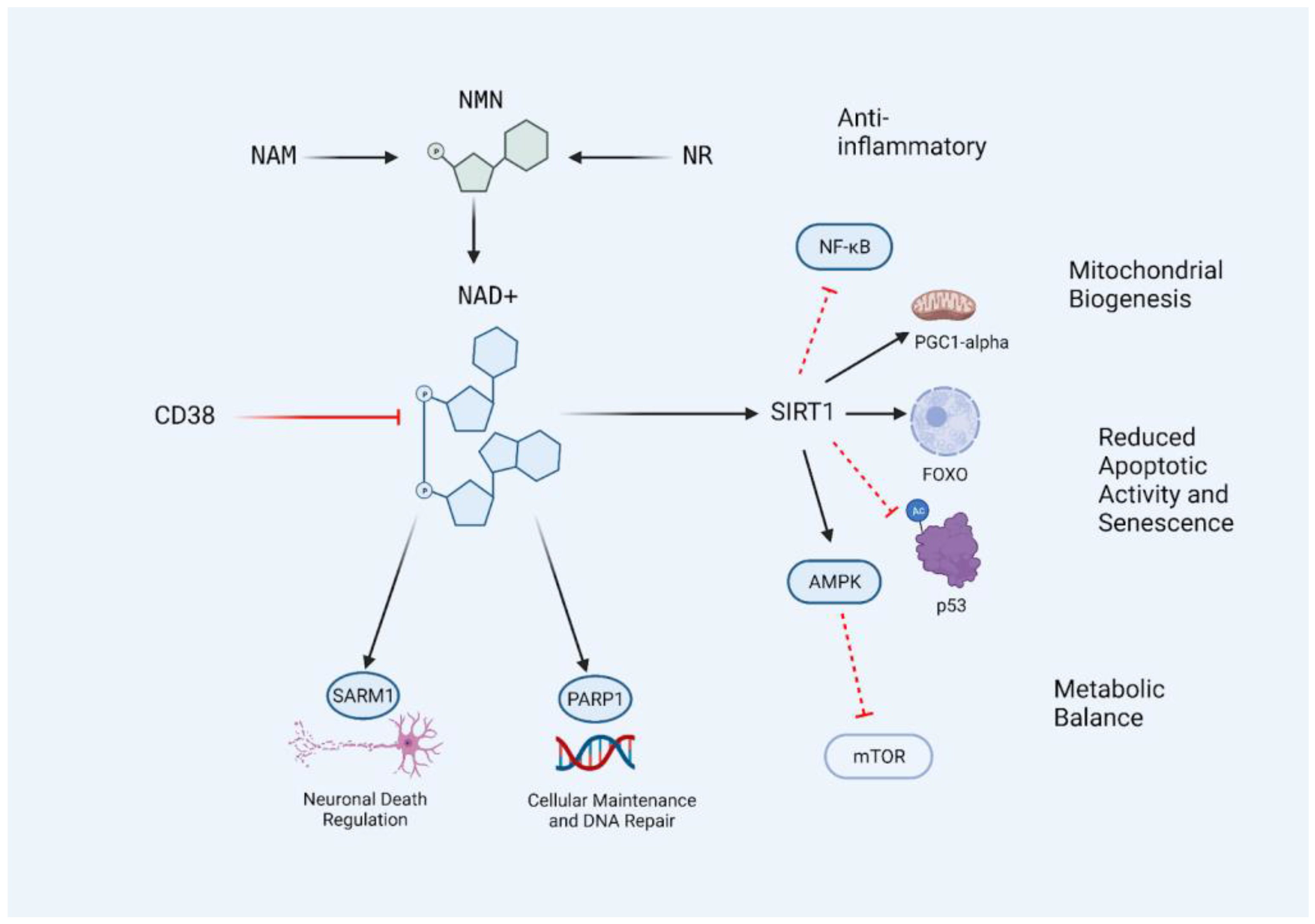 Nutrients 15 00445 g001
