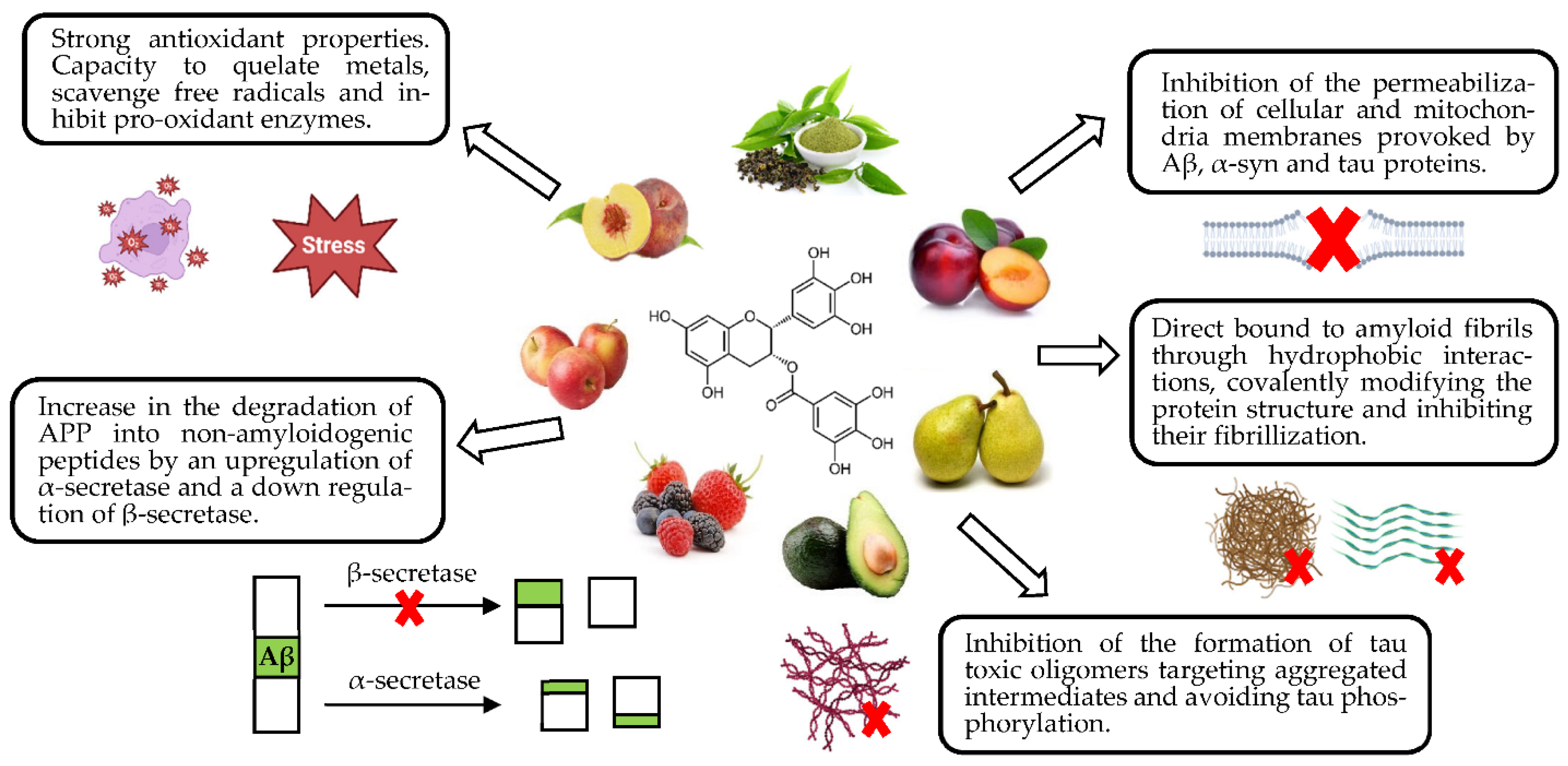 Nutrients 15 00449 g003