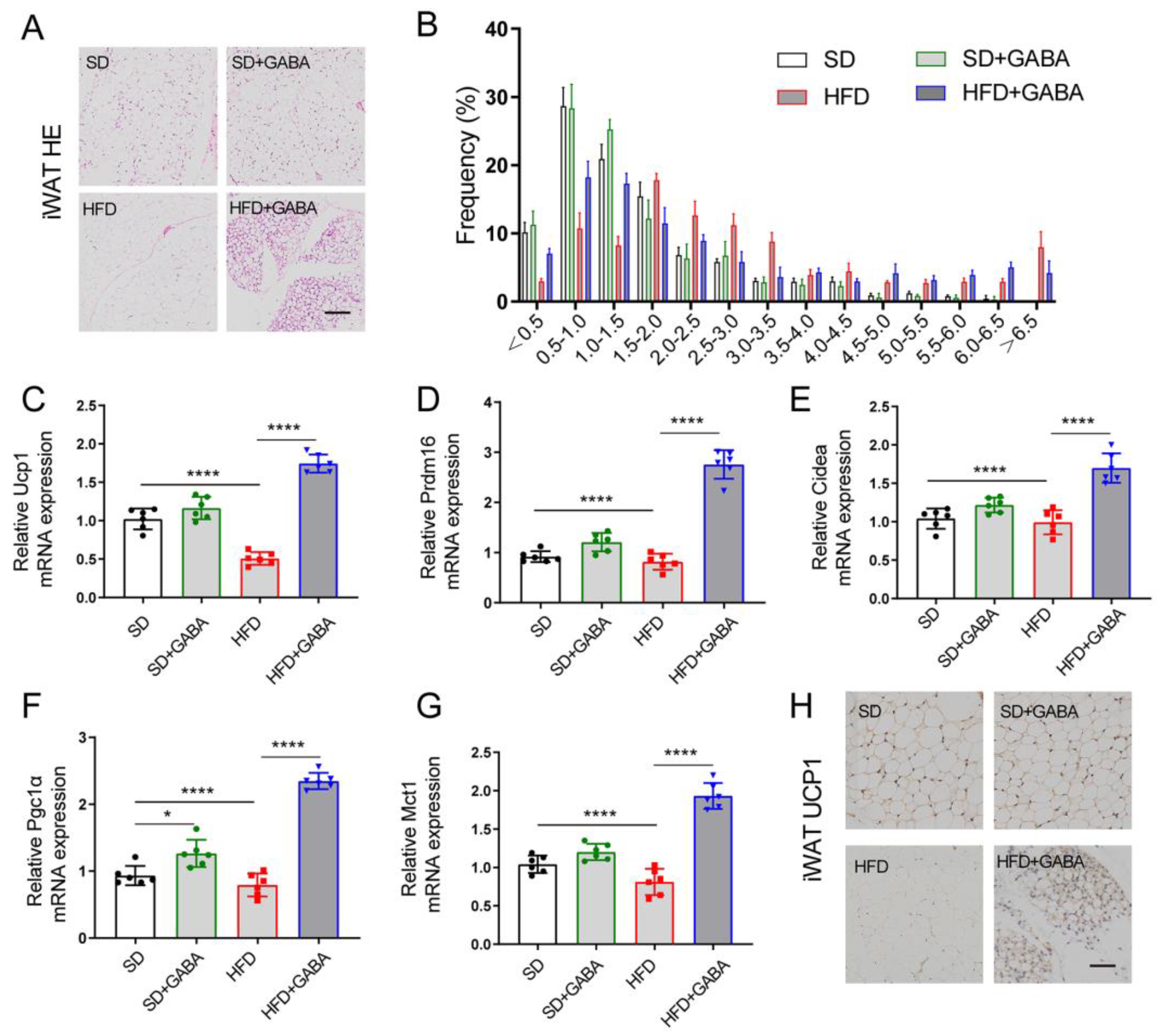 Nutrients 15 00456 g002