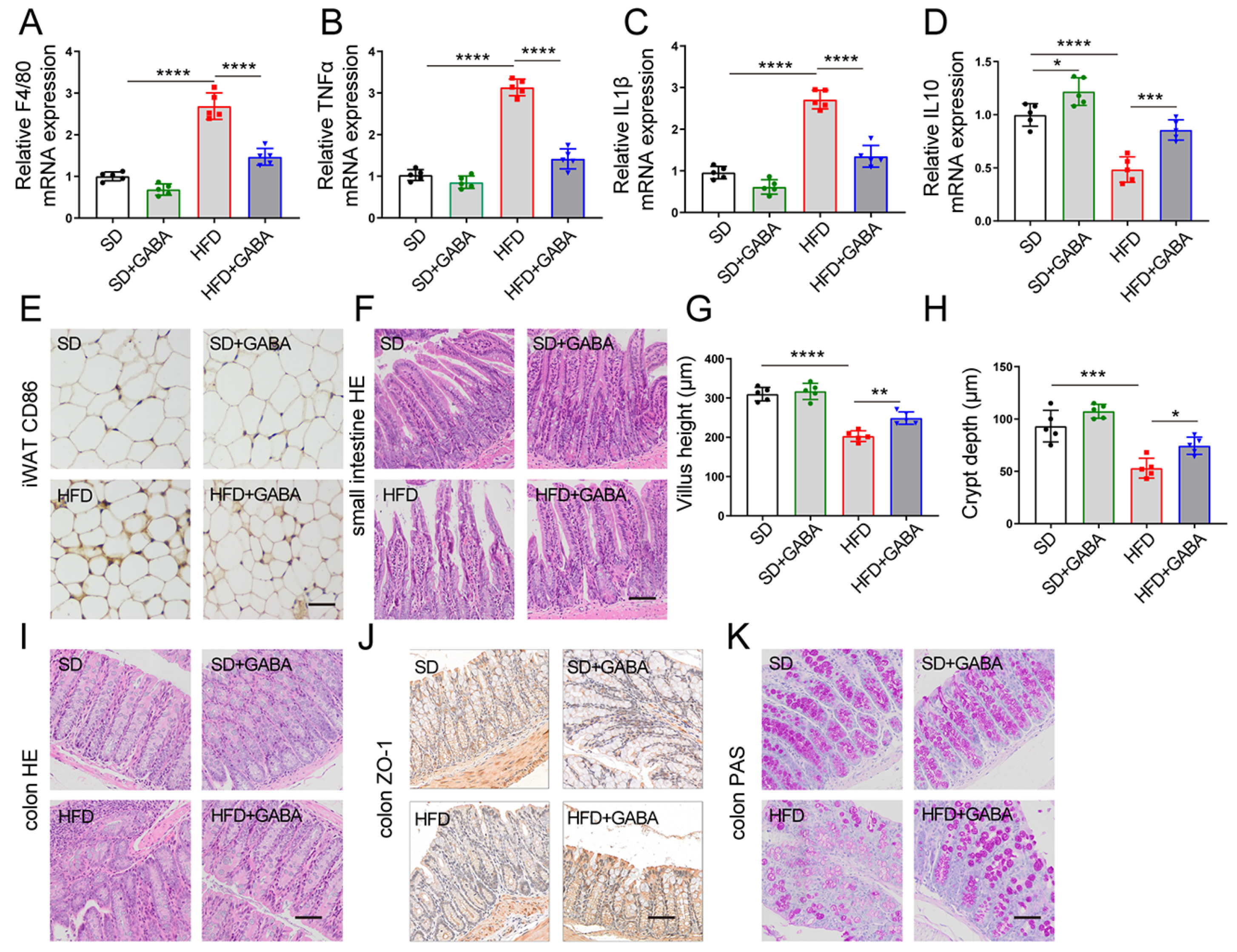 Nutrients 15 00456 g003