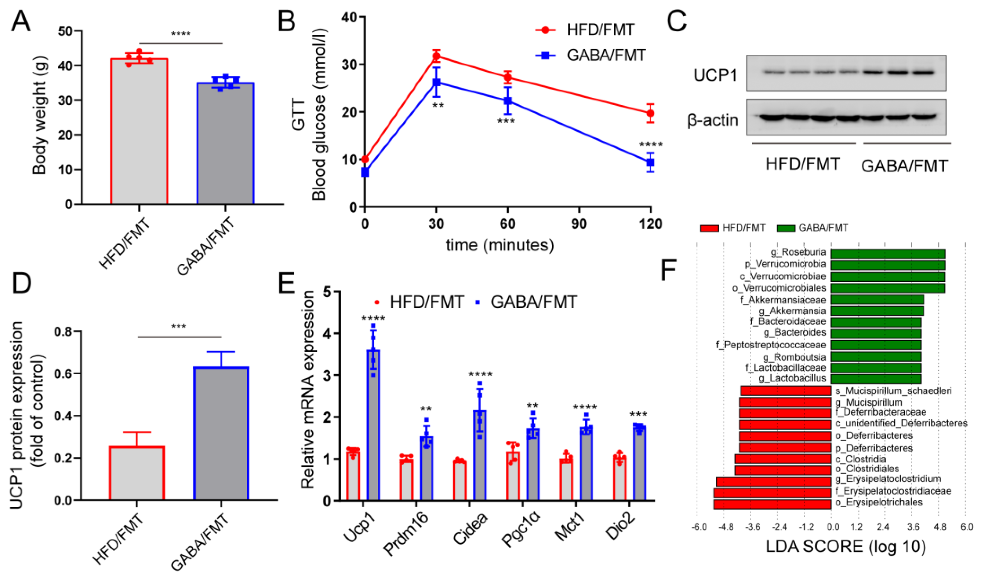Nutrients 15 00456 g006