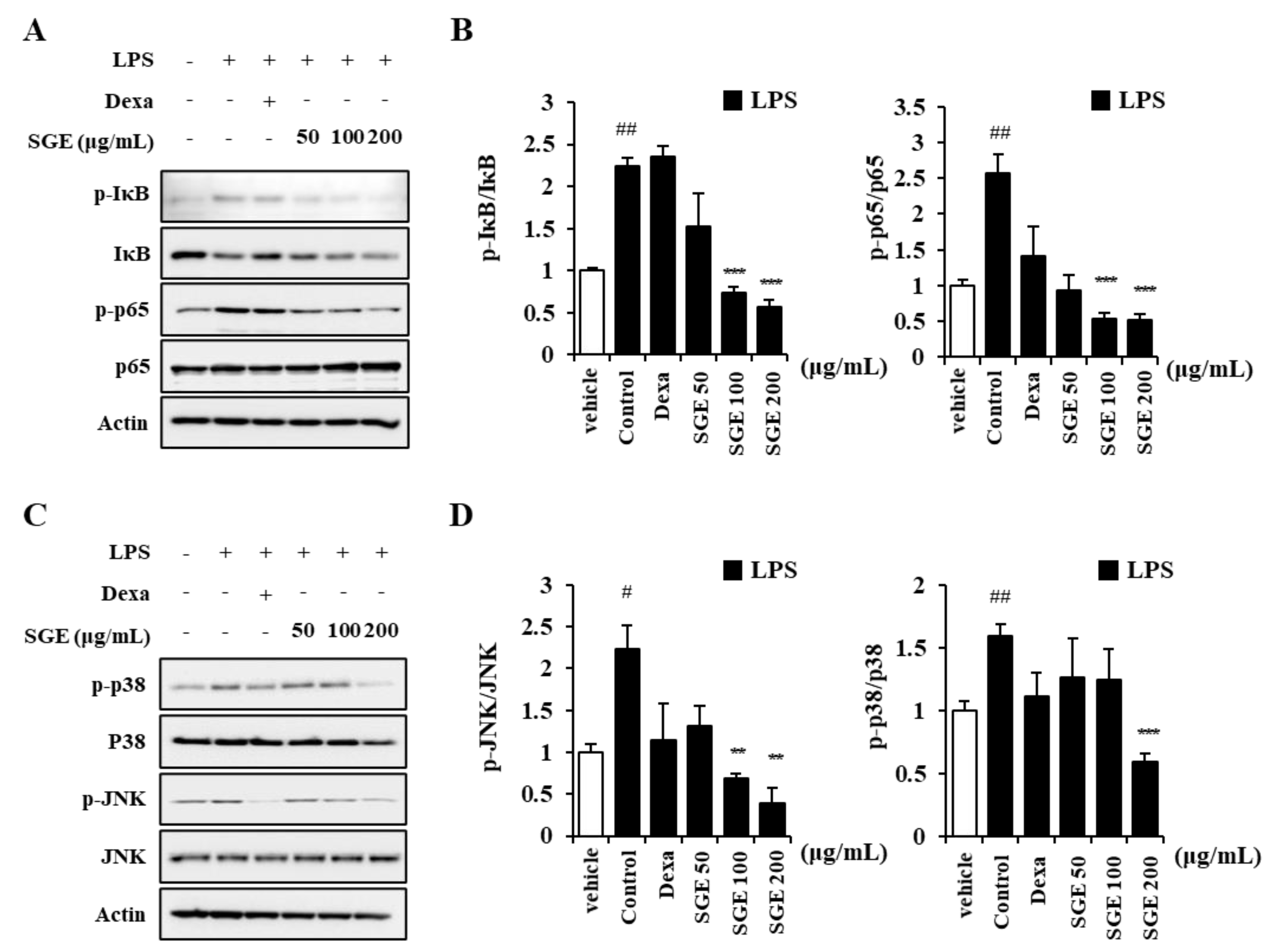 Nutrients 15 00468 g002