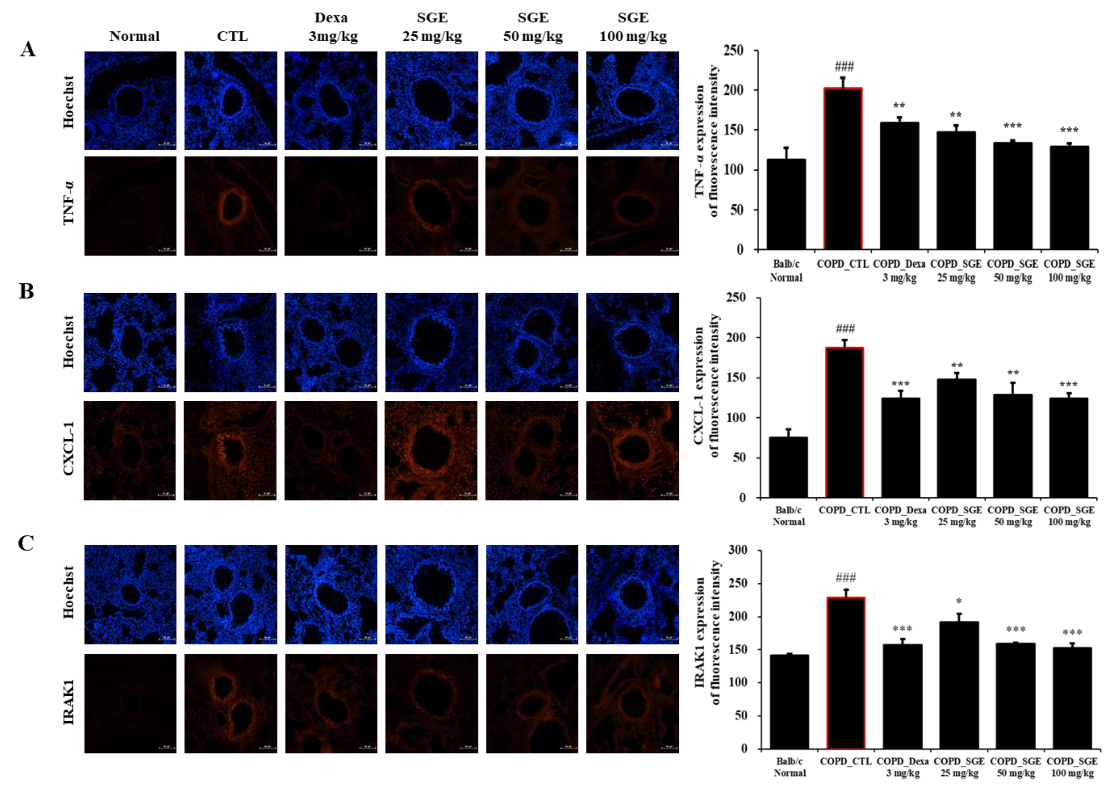 Nutrients 15 00468 g007