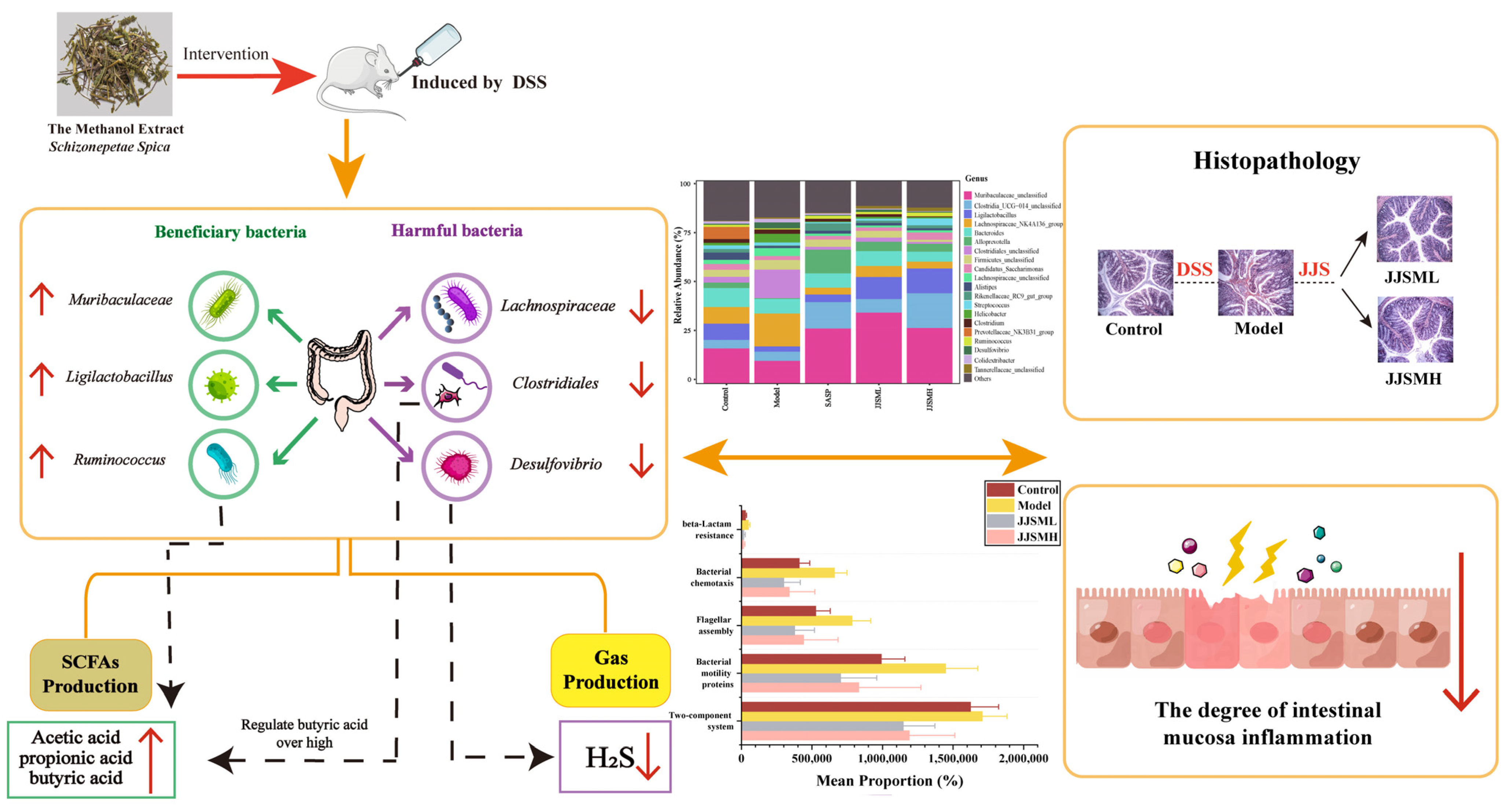 Nutrients 15 00519 g006