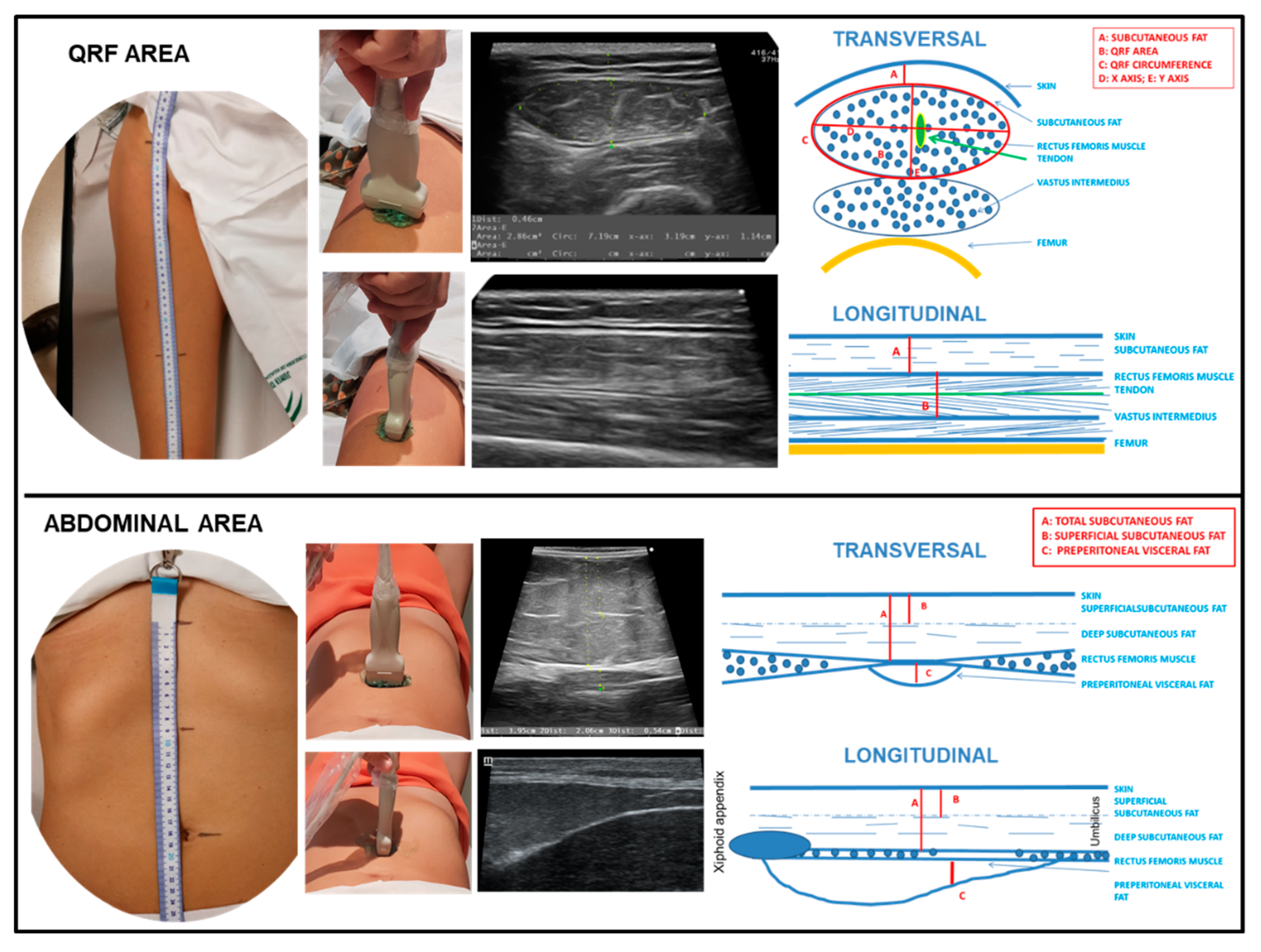 Nutrients 15 00522 g002
