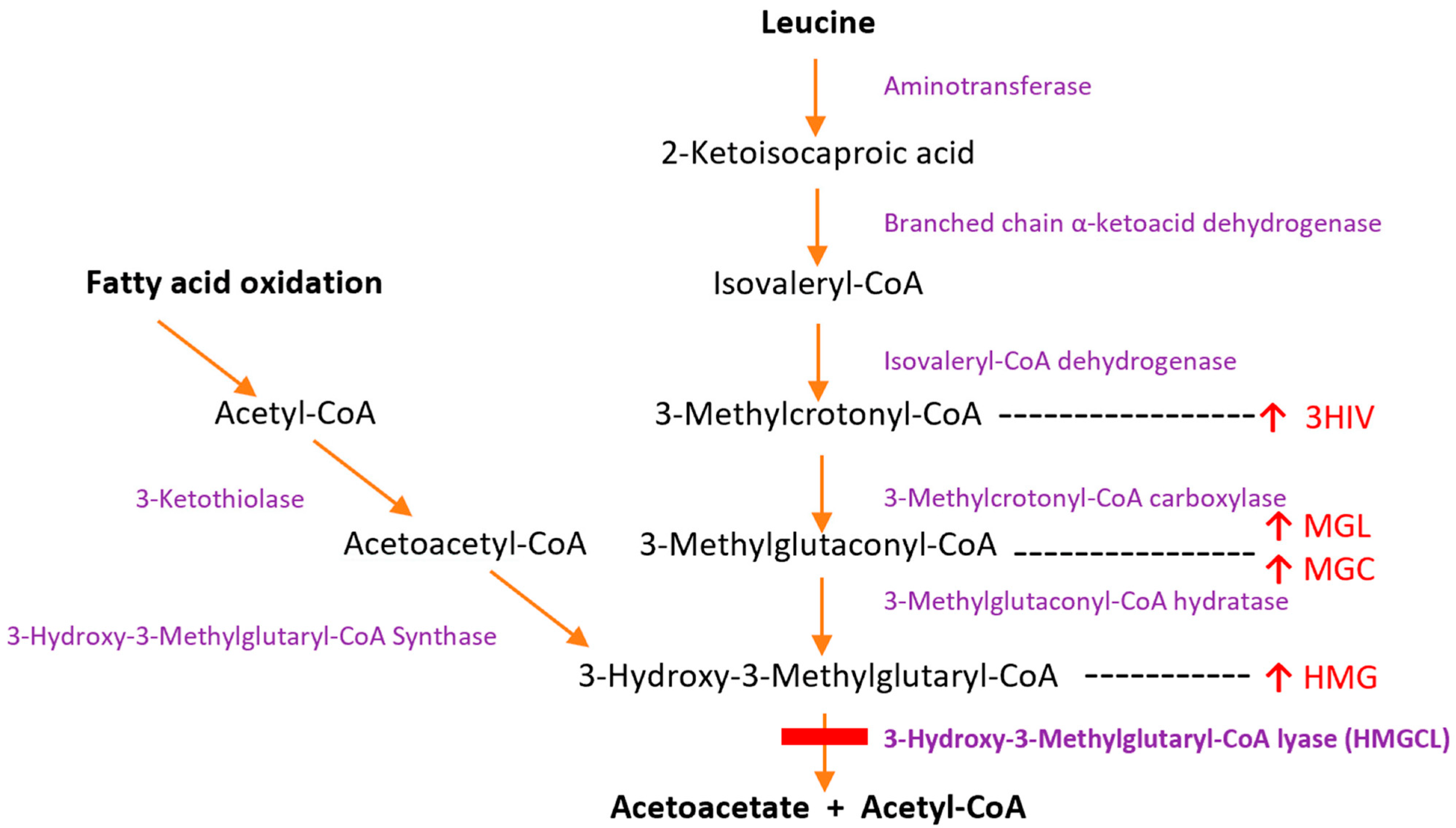 Nutrients 15 00531 g001