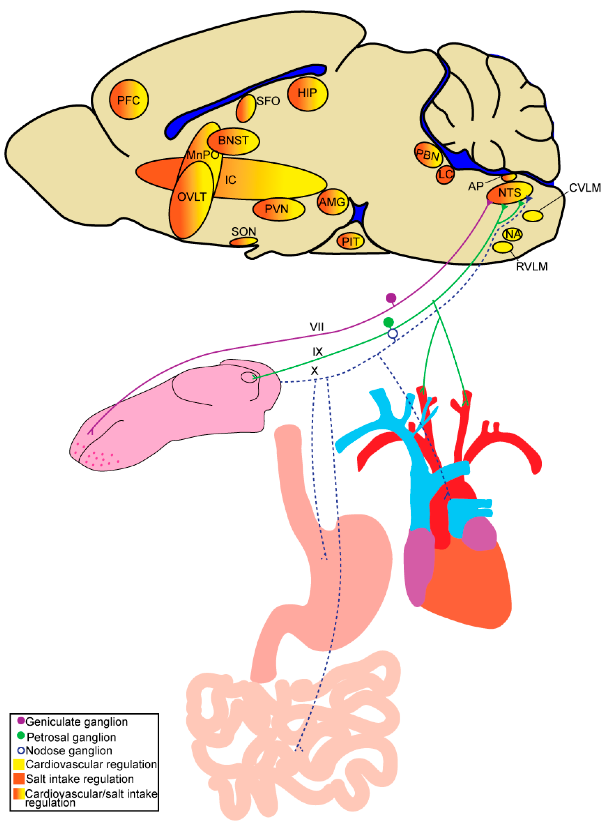 Nutrients 15 00535 g001