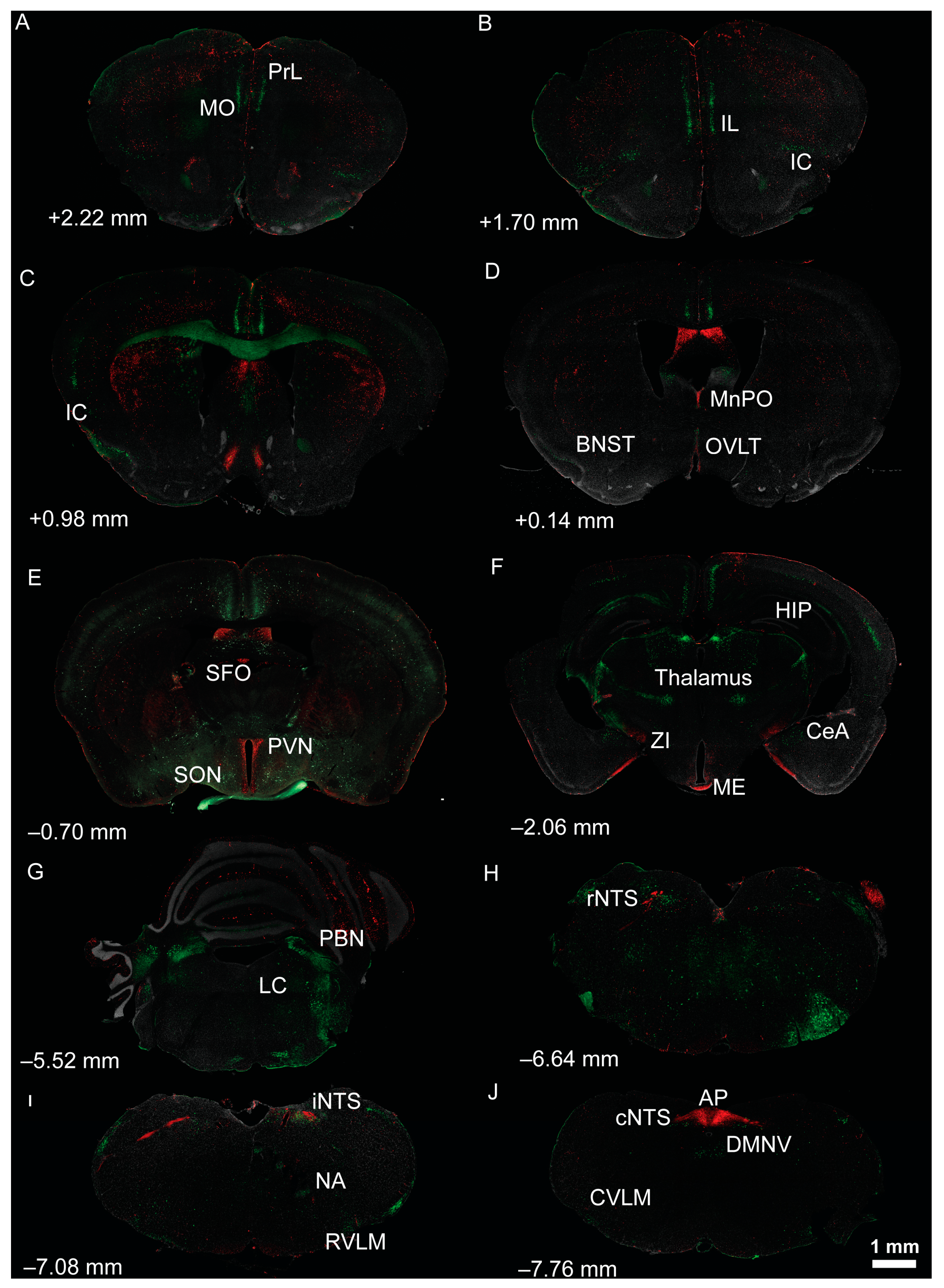 Nutrients 15 00535 g002
