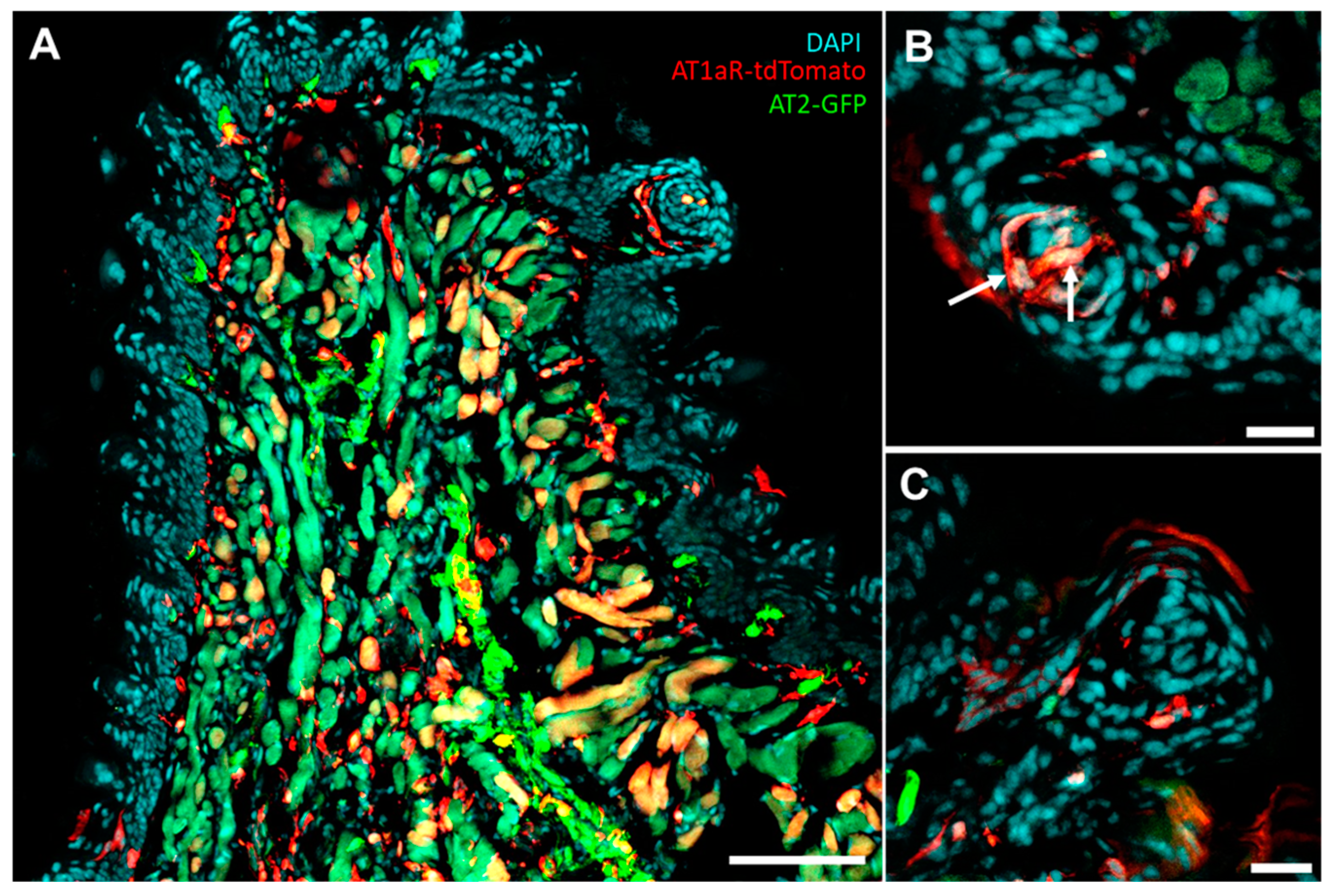 Nutrients 15 00535 g003