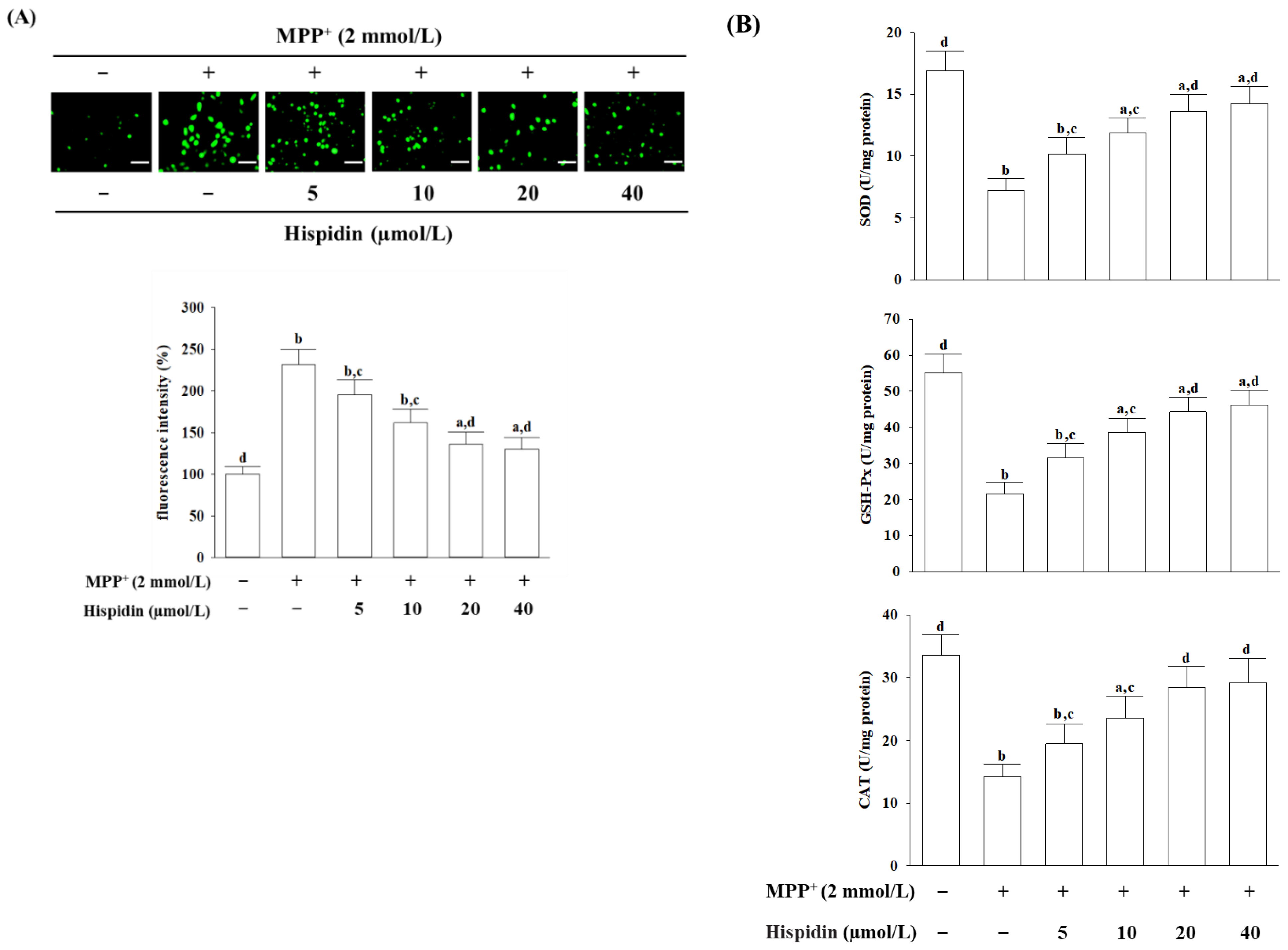 Nutrients 15 00549 g002