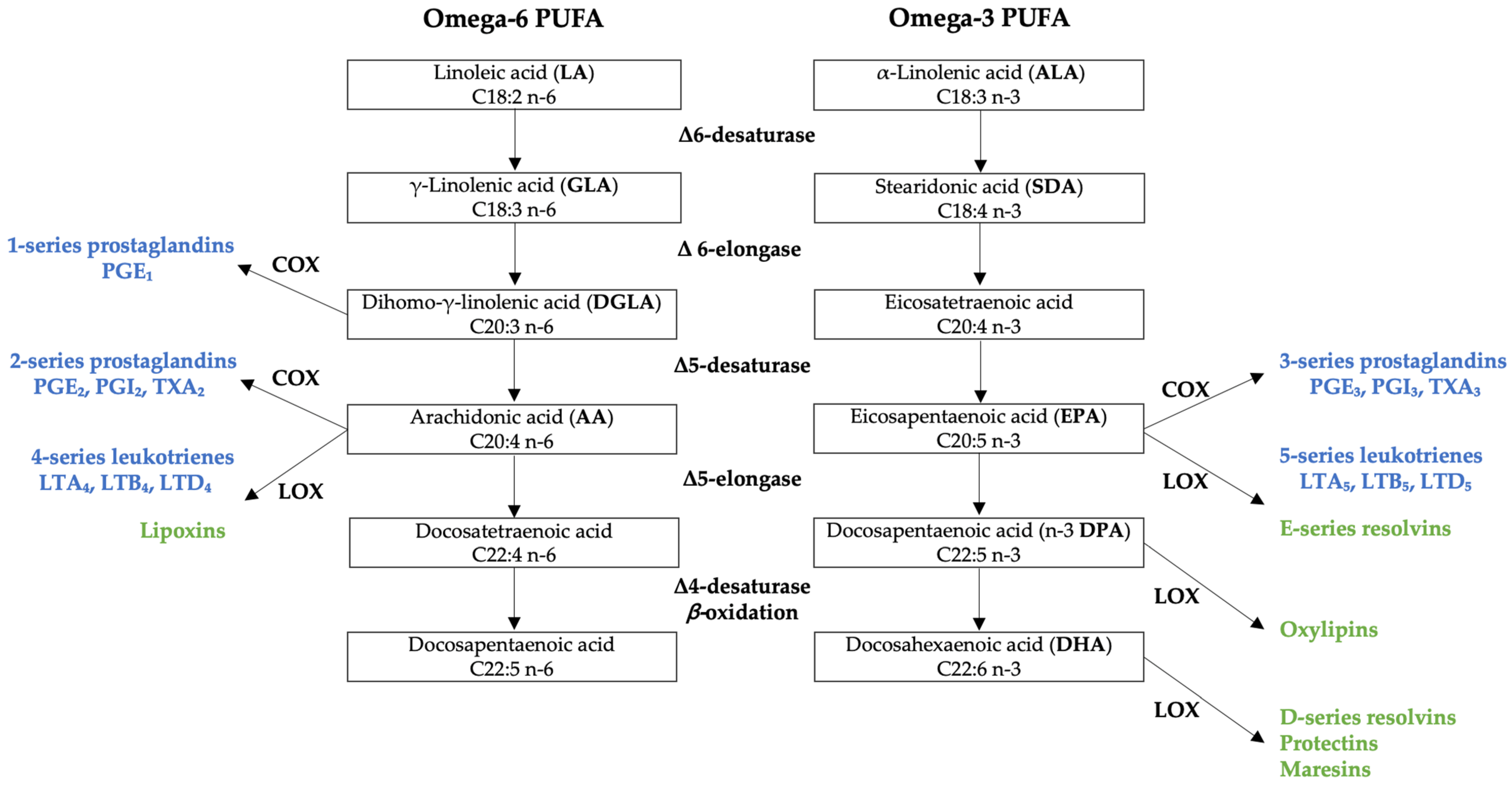 Nutrients 15 00562 g001 Nutrients 15 00562 g001