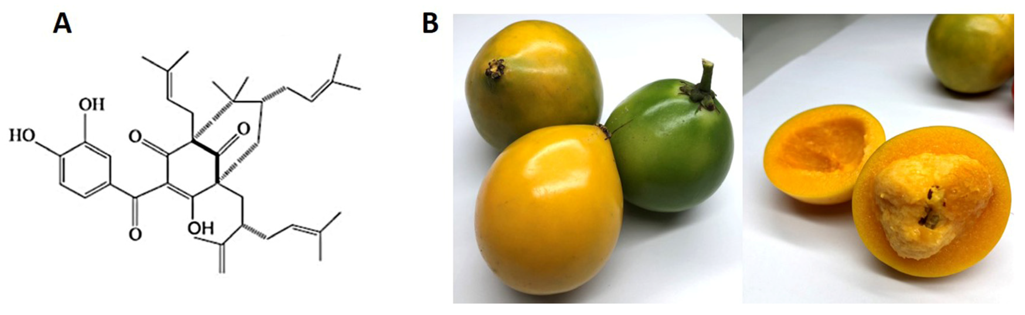 Nutrients 15 00575 g001