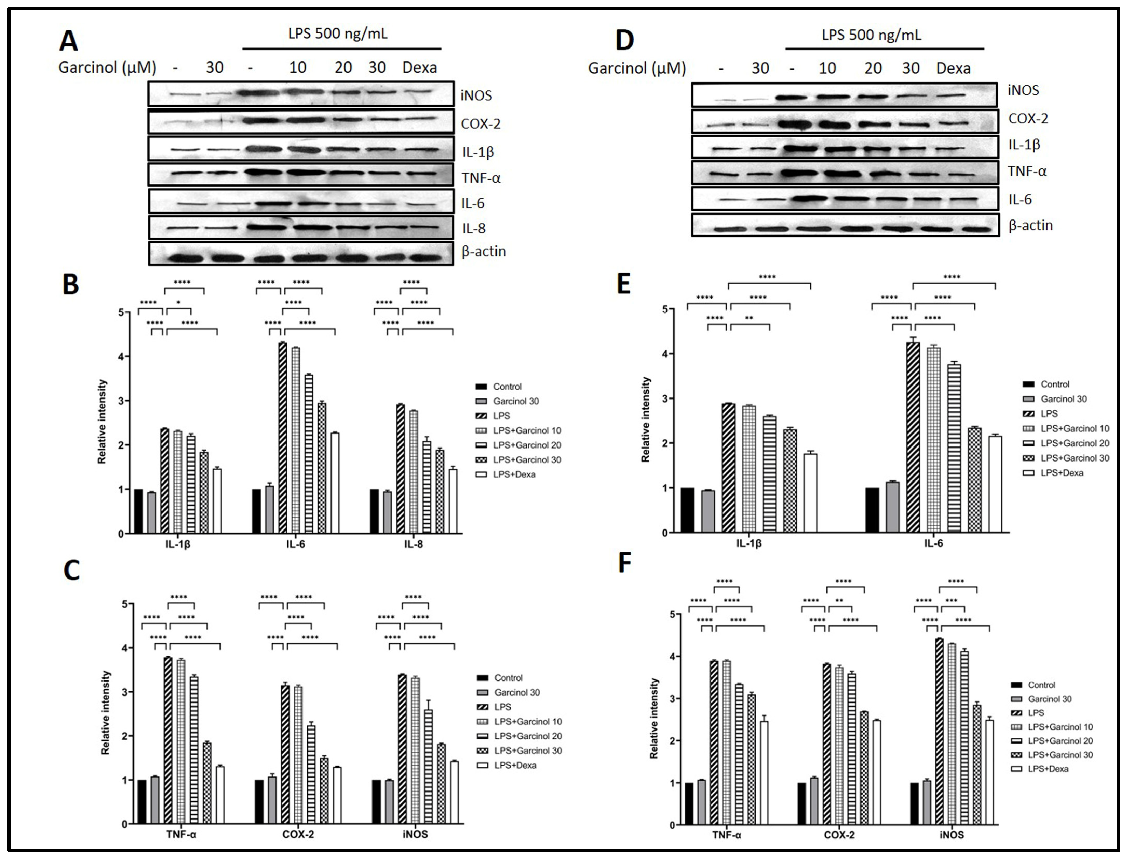 Nutrients 15 00575 g004