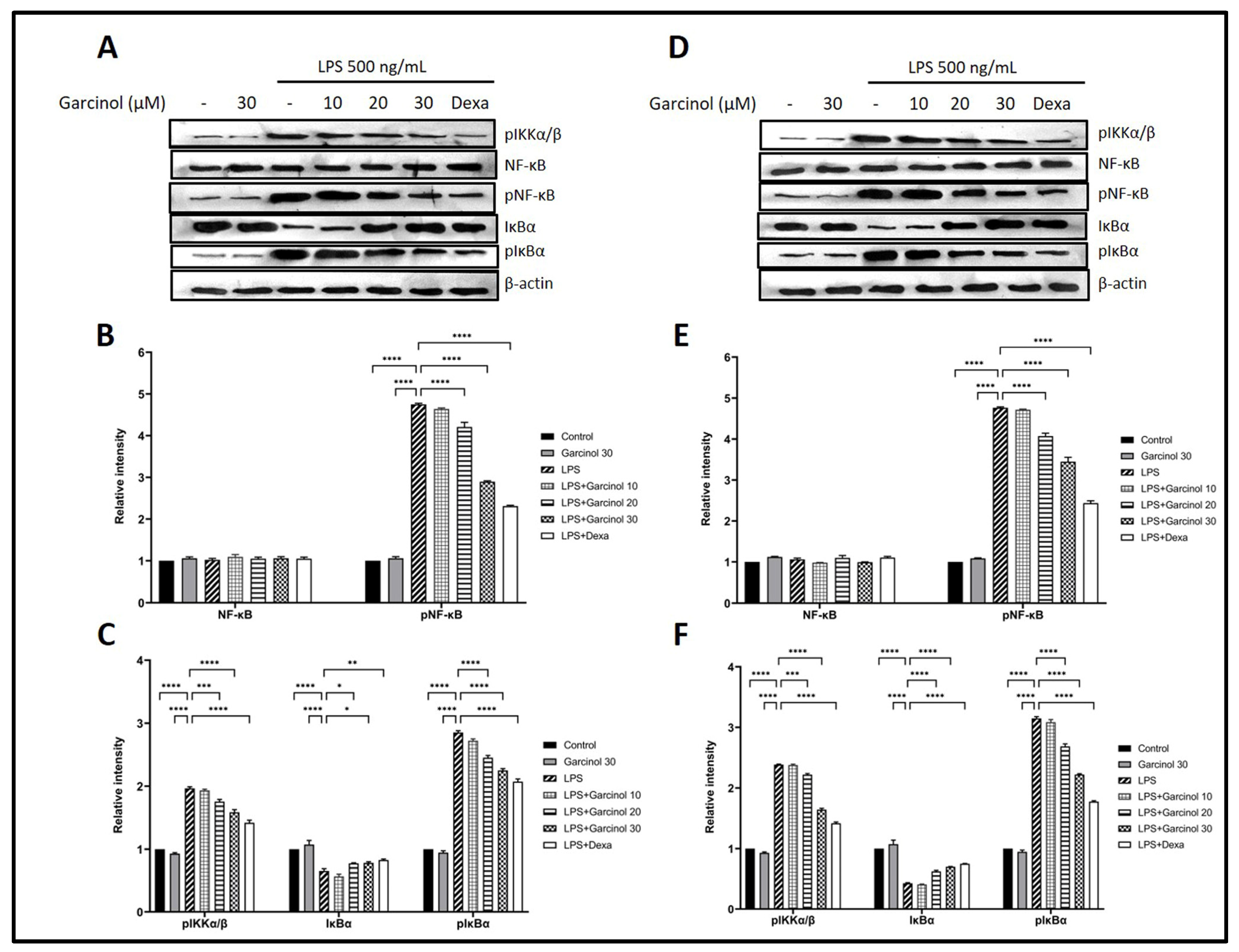 Nutrients 15 00575 g006