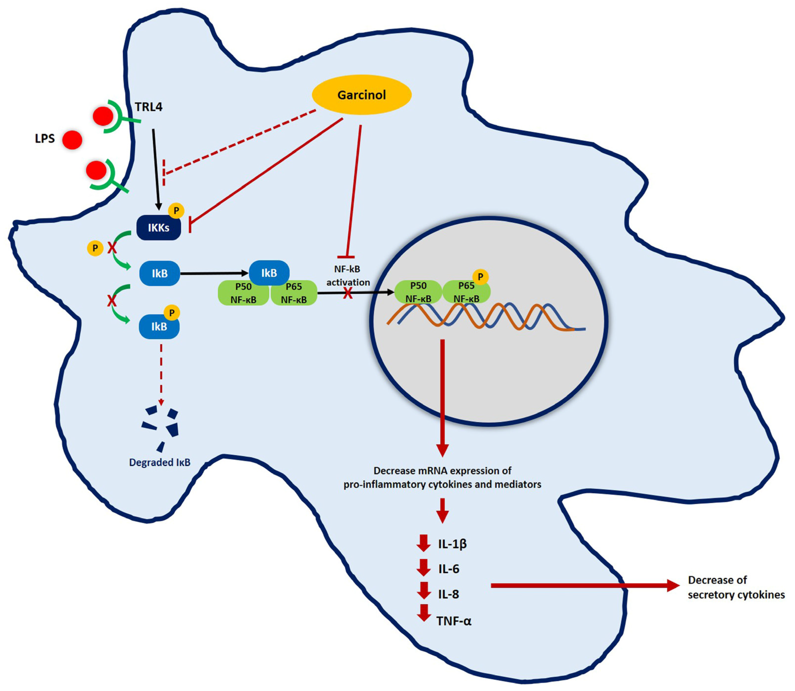 Nutrients 15 00575 g008