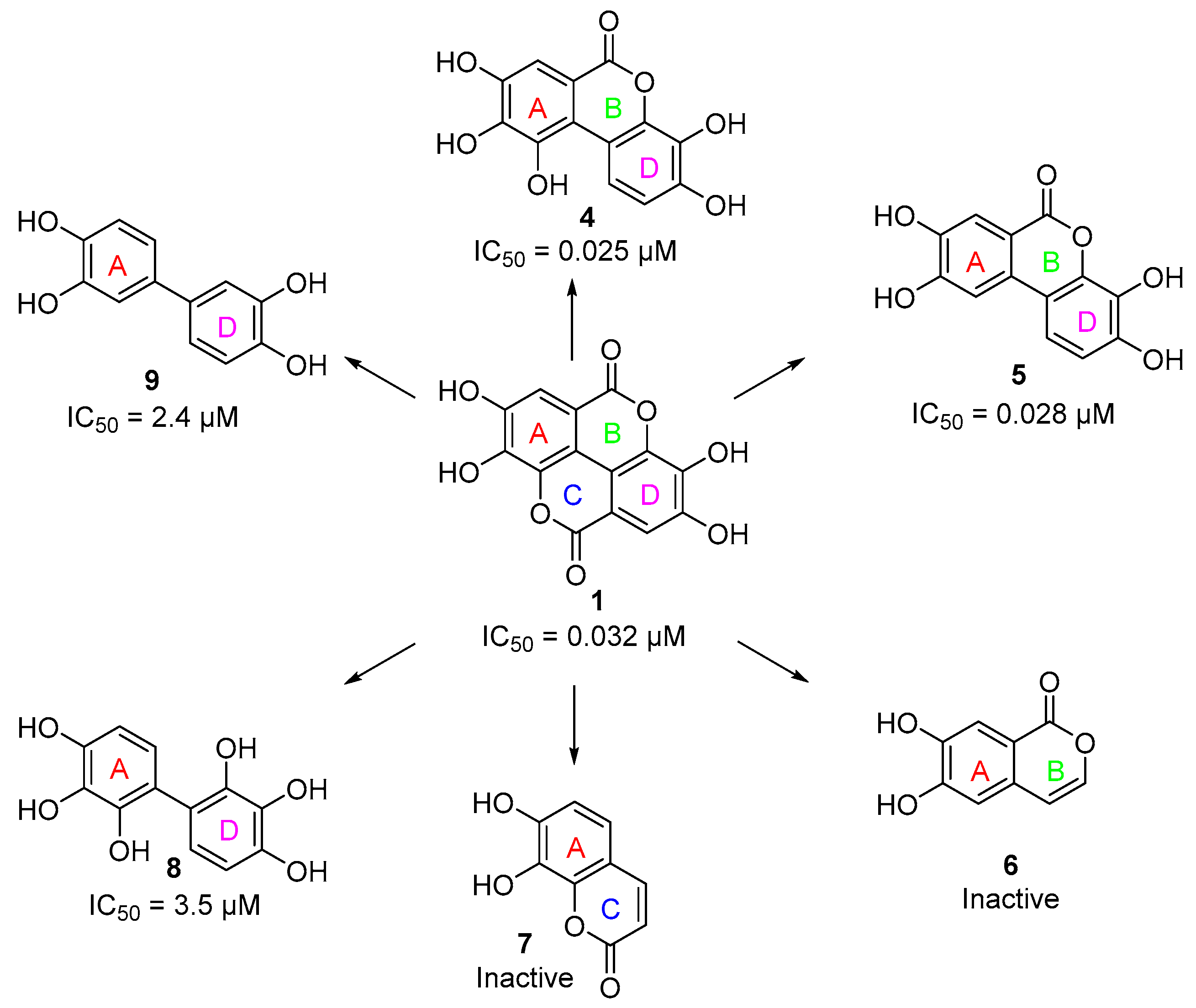 Nutrients 15 00577 g002