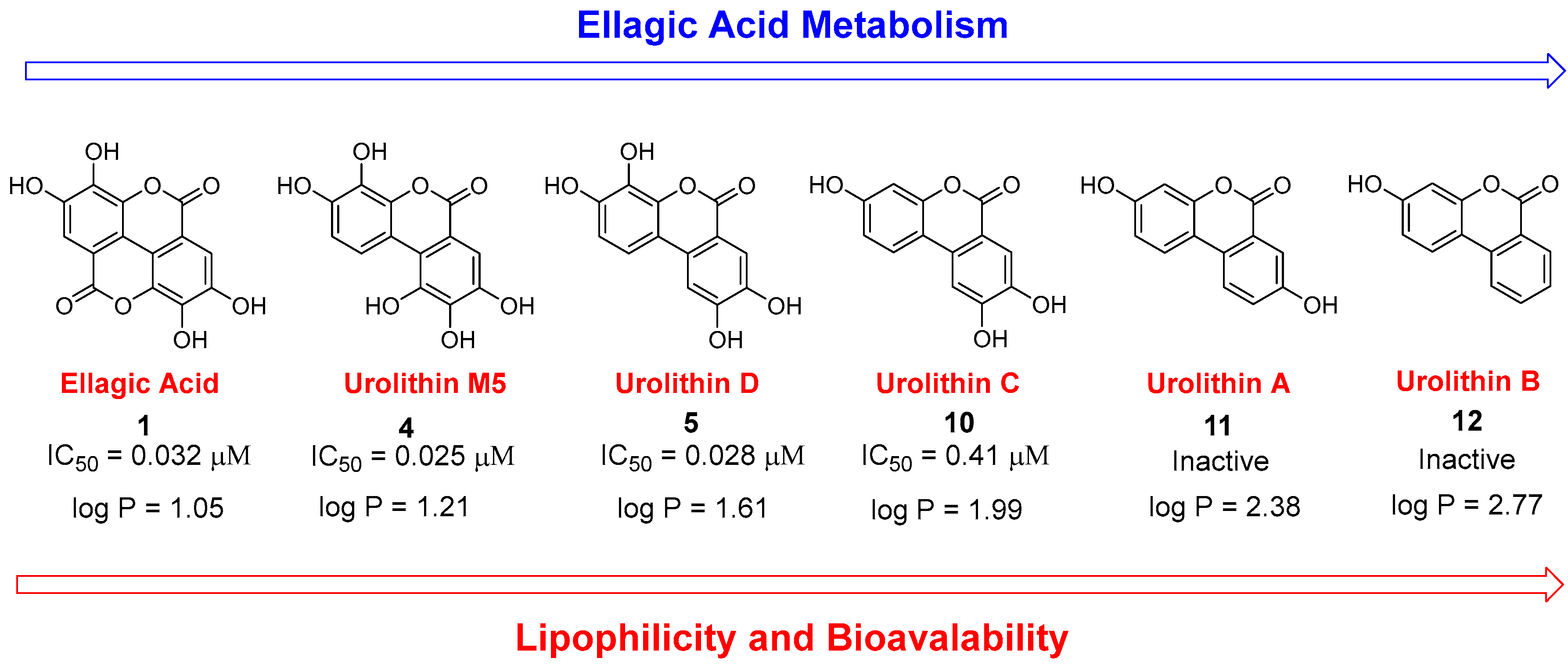 Nutrients 15 00577 g003