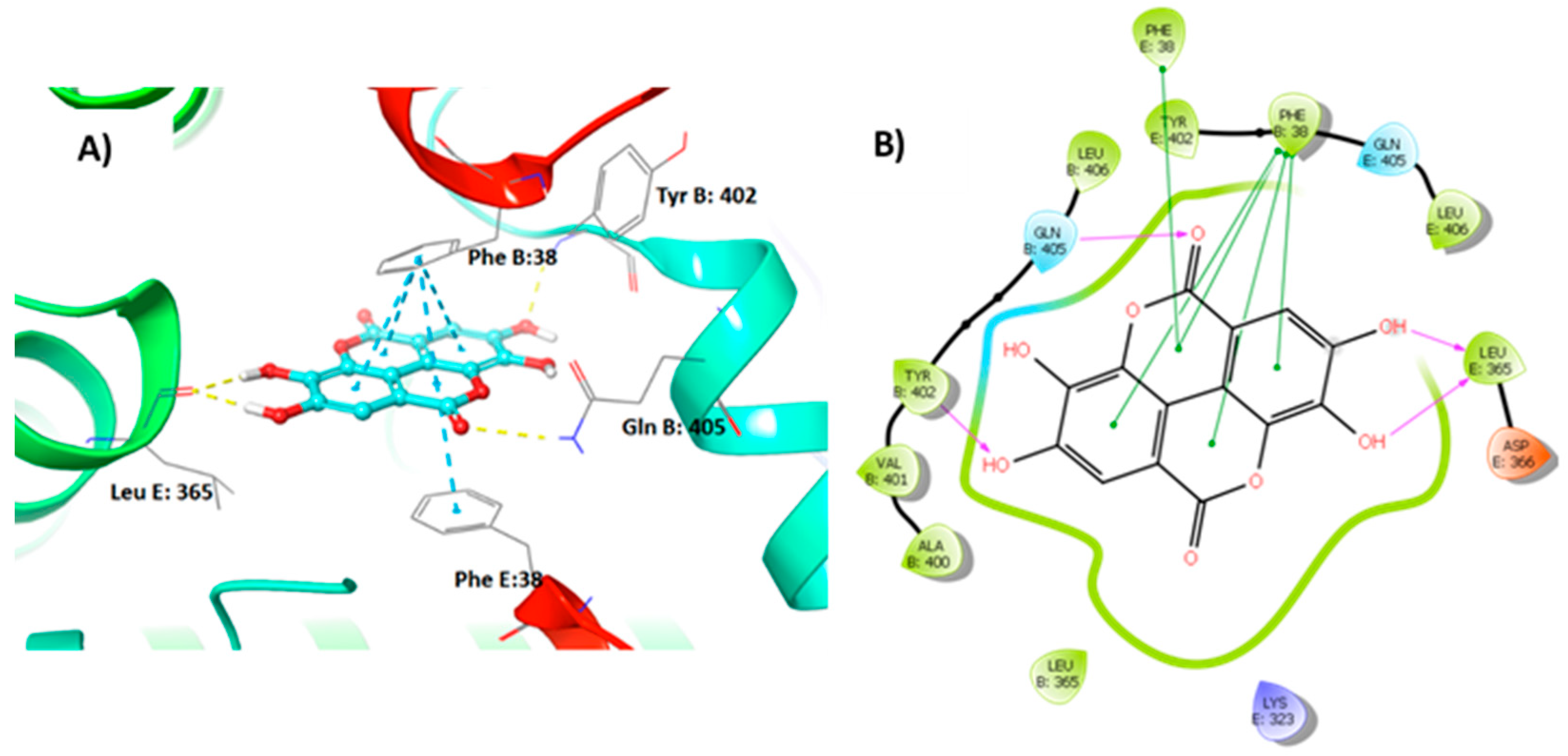 Nutrients 15 00577 g007