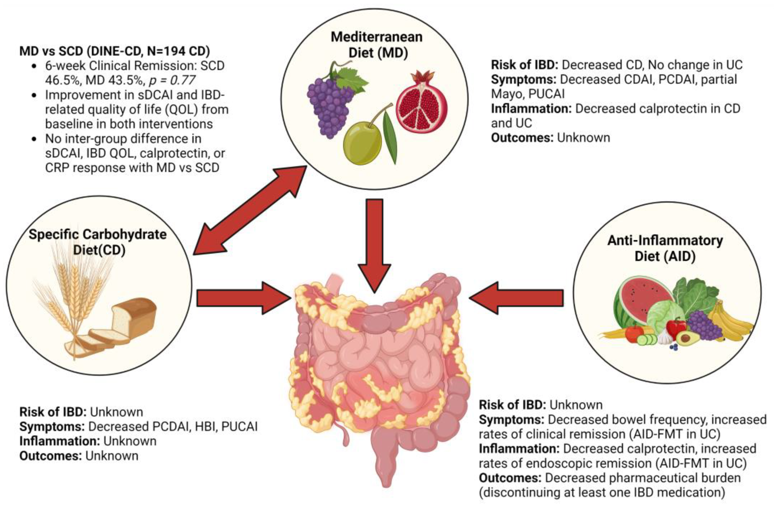 Nutrients 15 00579 g003 Nutrients 15 00579 g003