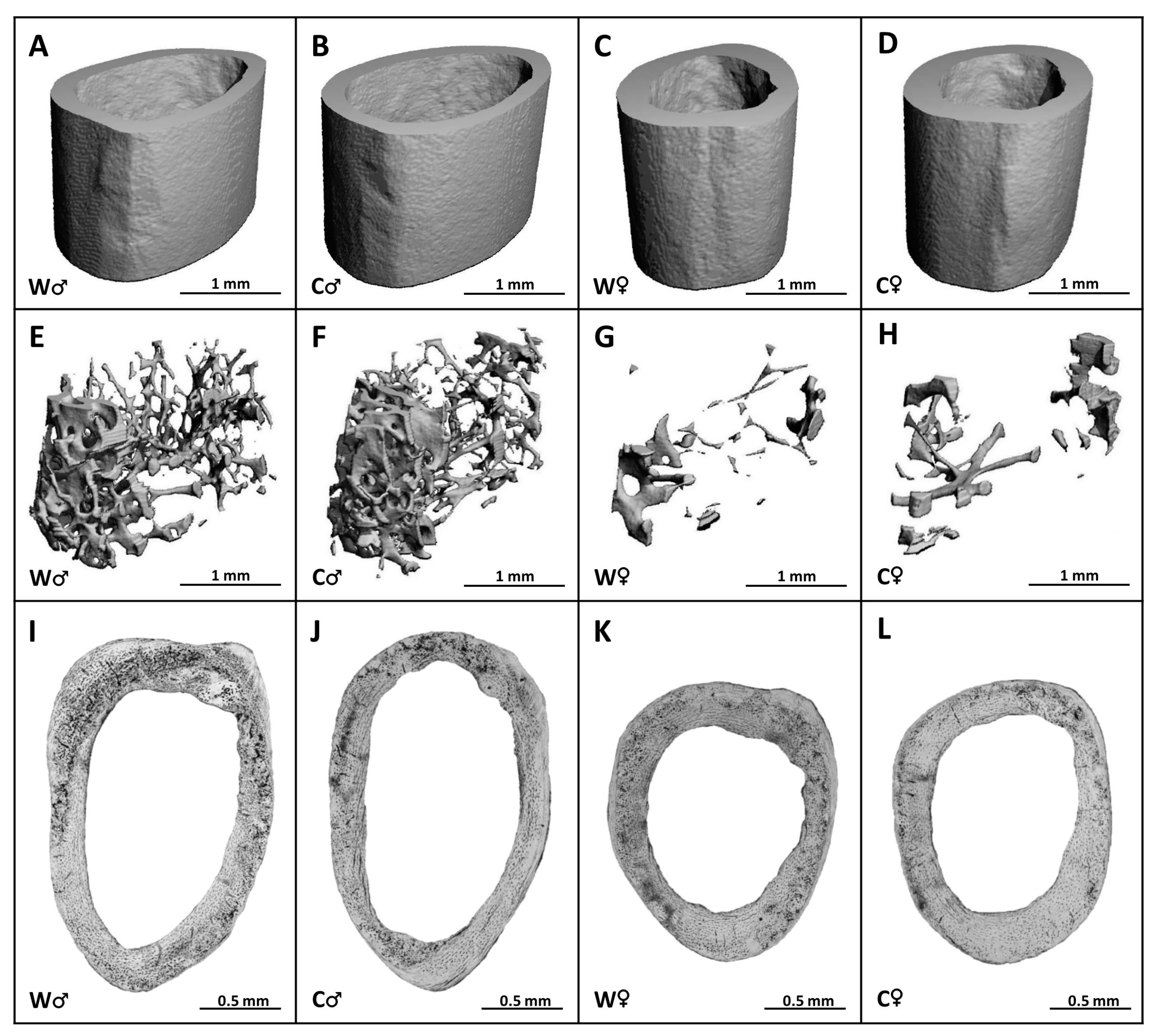 Nutrients 15 00583 g004