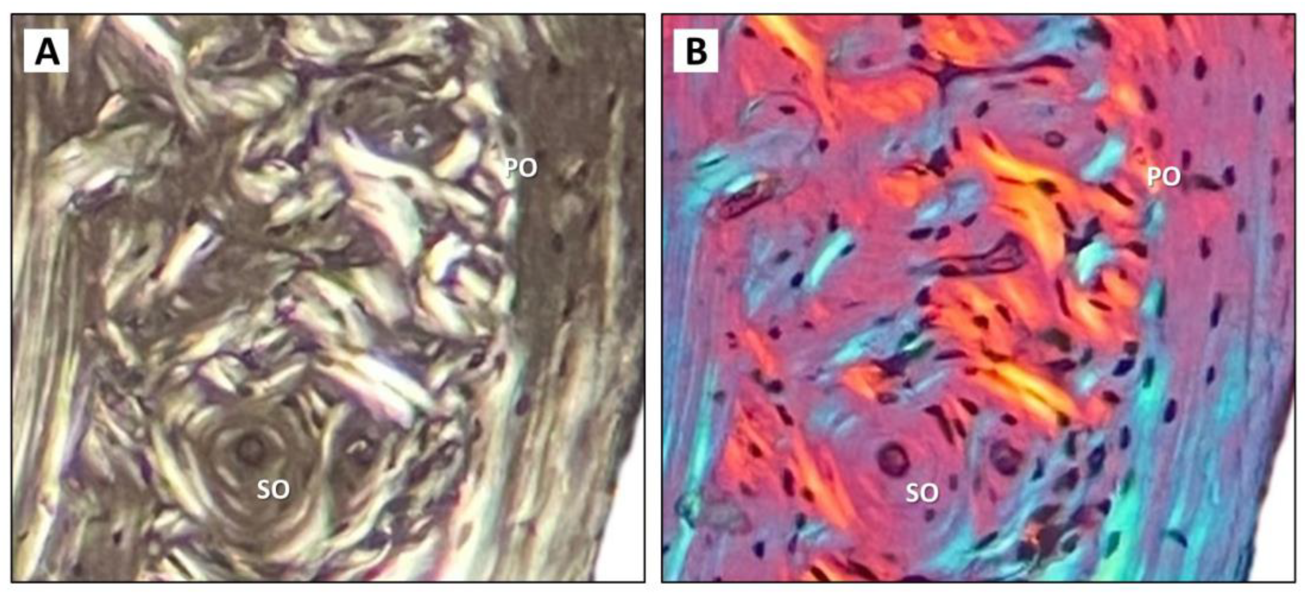 Nutrients 15 00583 g006