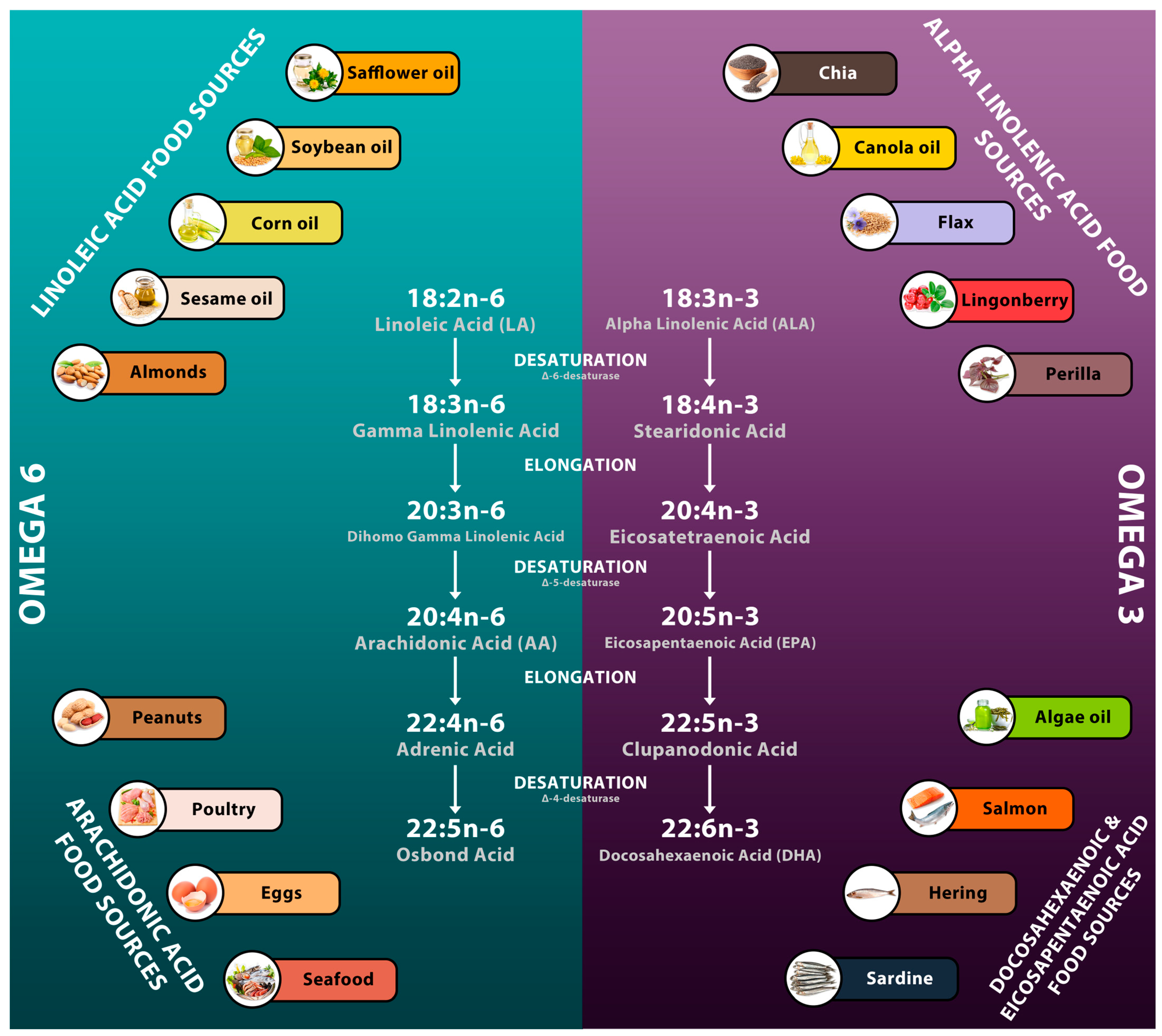 Nutrients 15 00585 g002