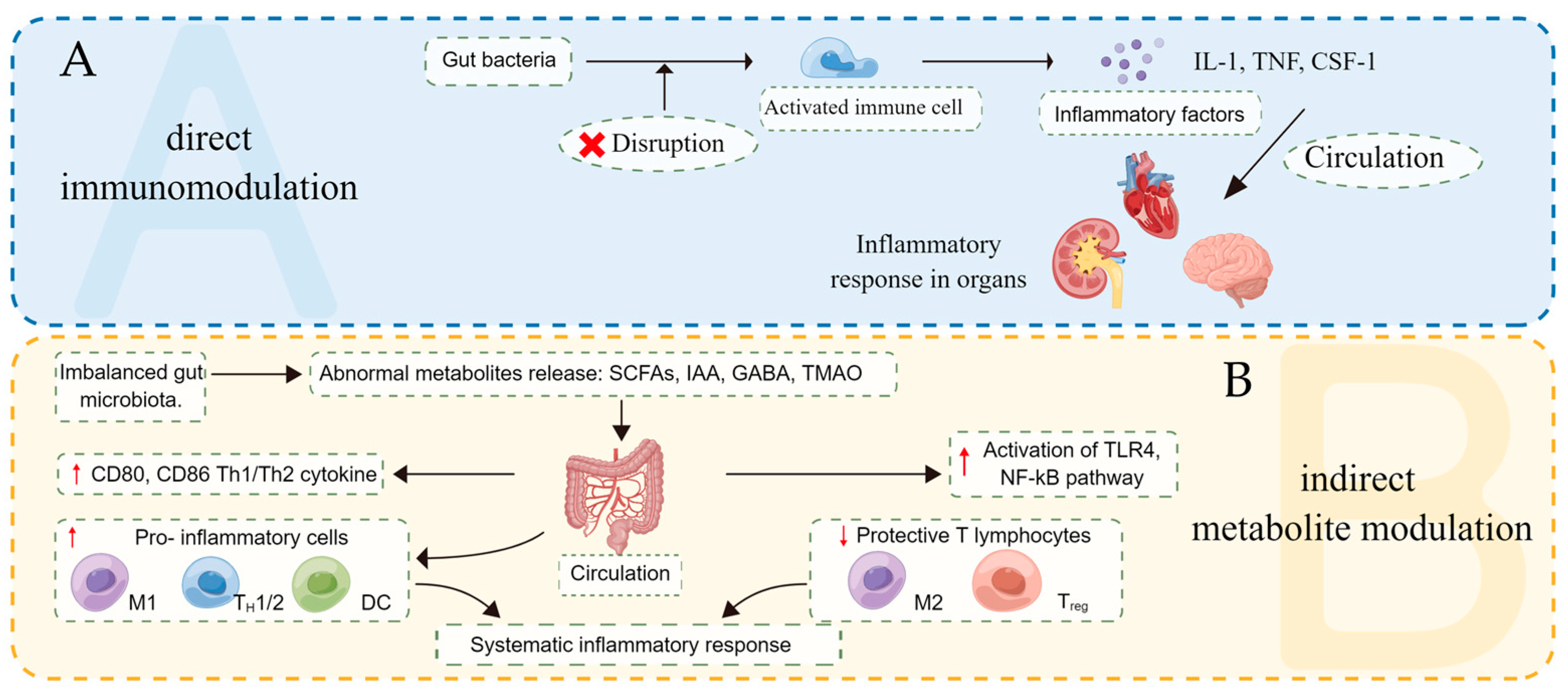 Nutrients 15 00607 g001
