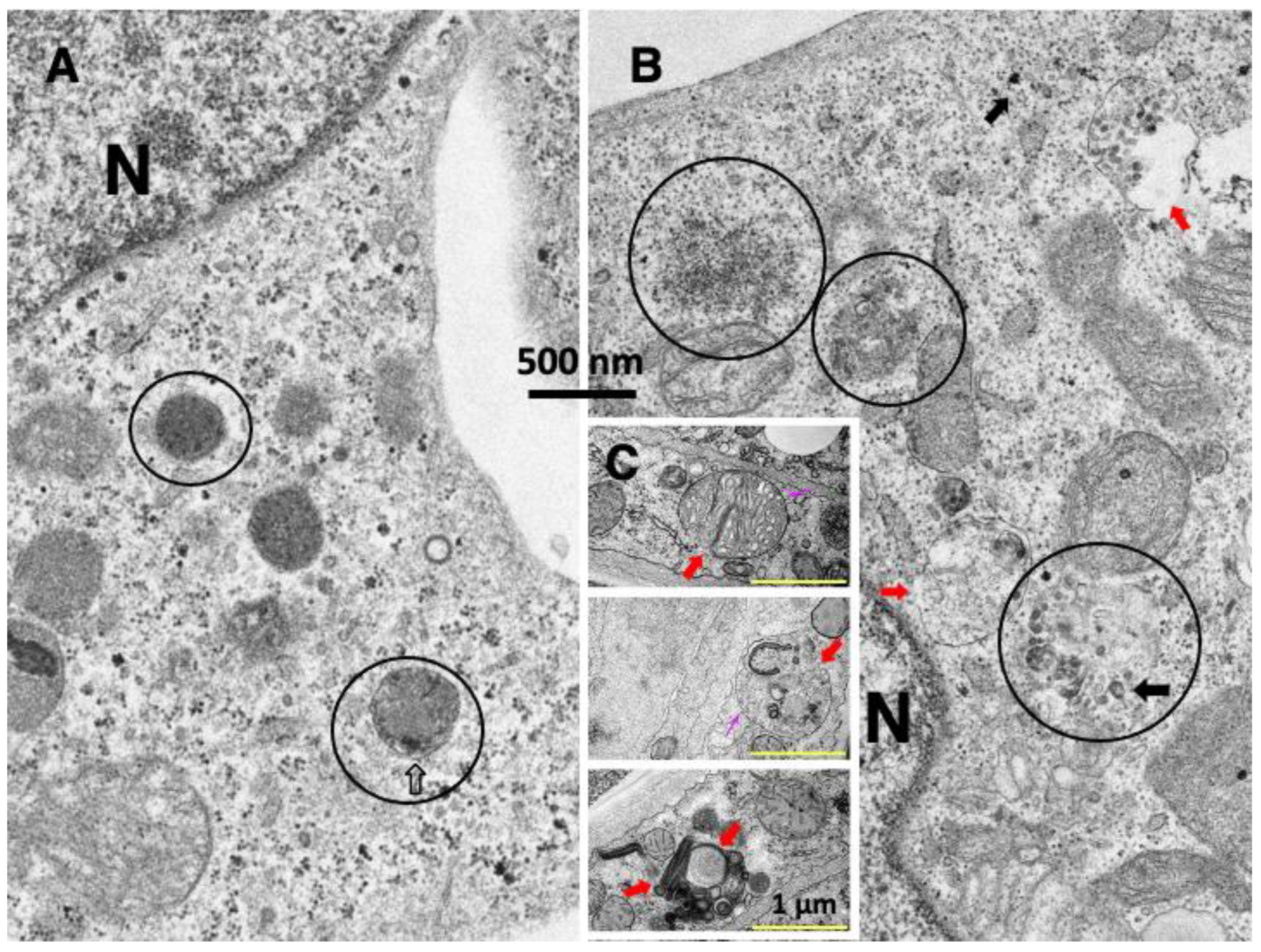 Nutrients 15 00609 g002