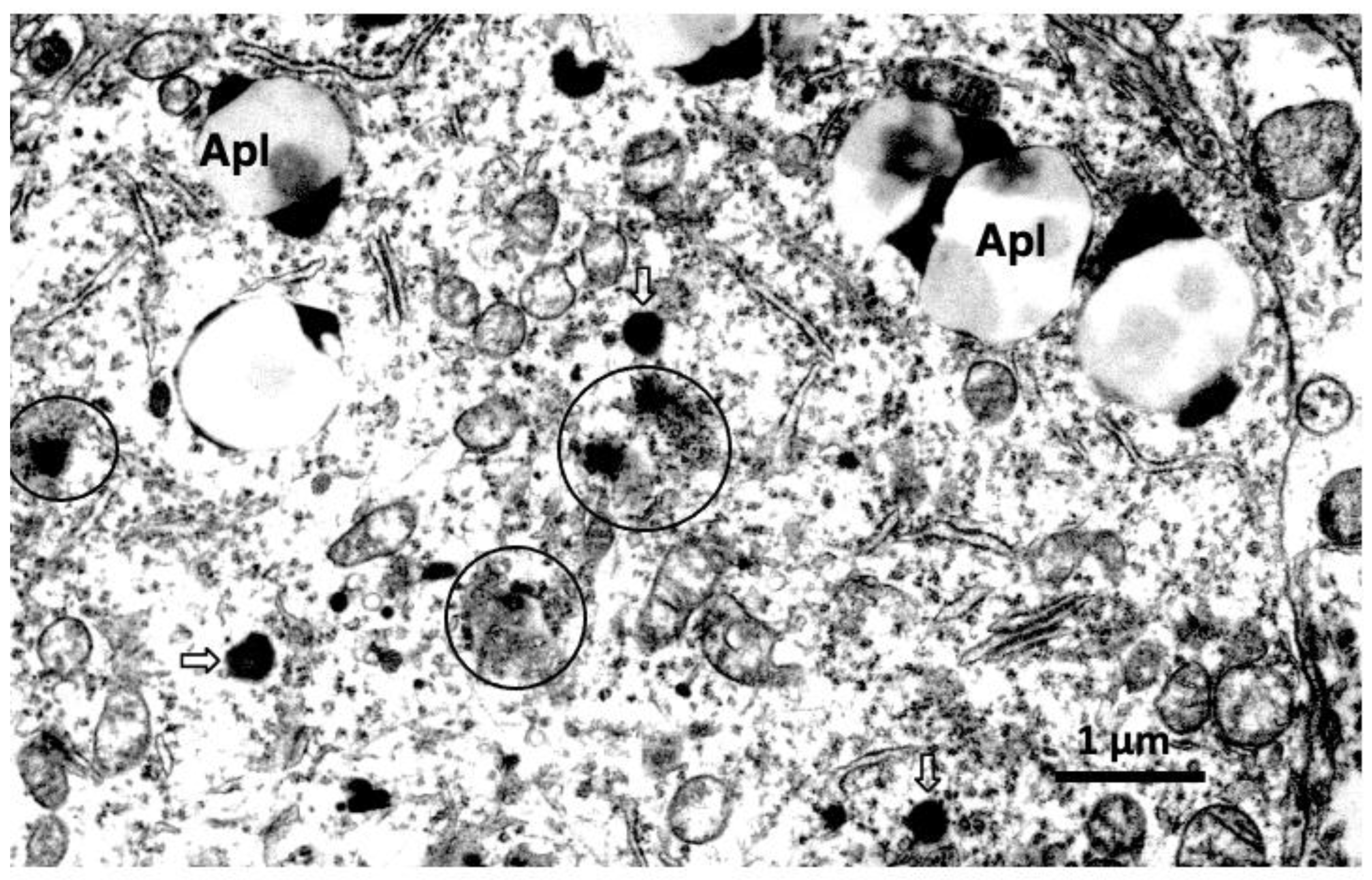 Nutrients 15 00609 g007